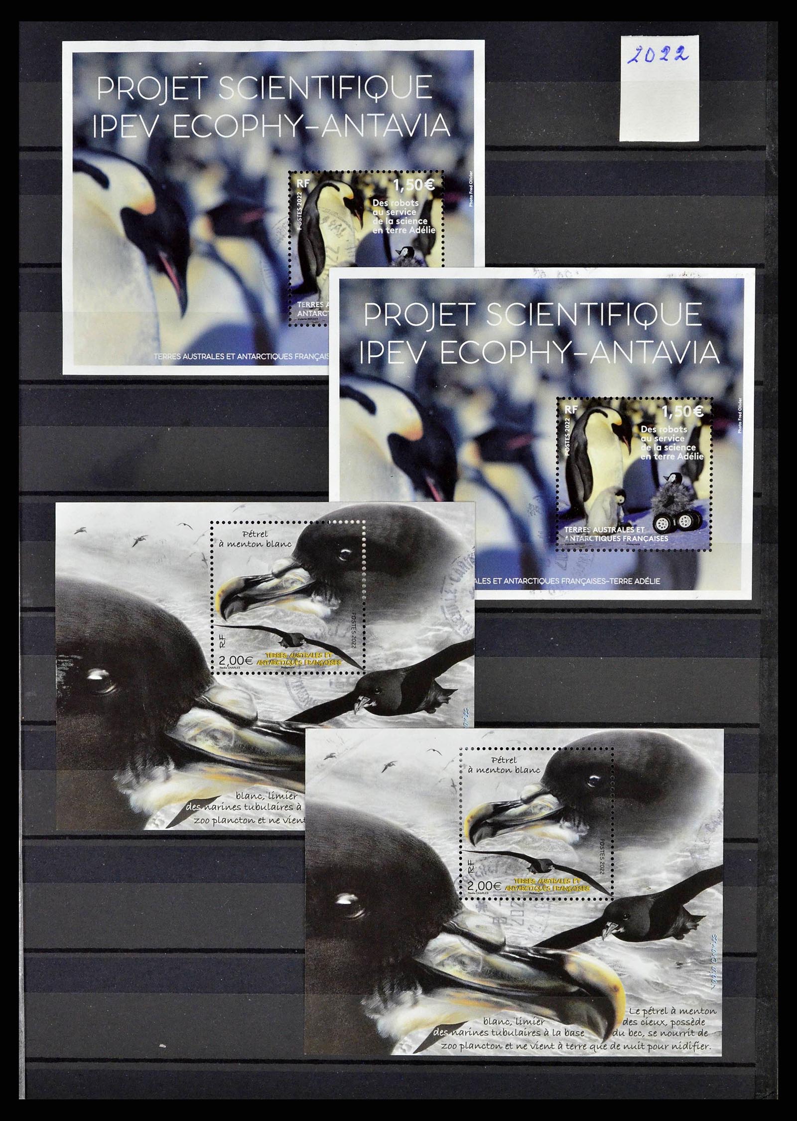 38776 0042 - Postzegelverzameling 38776 Frans Antarctica 1948-2011.