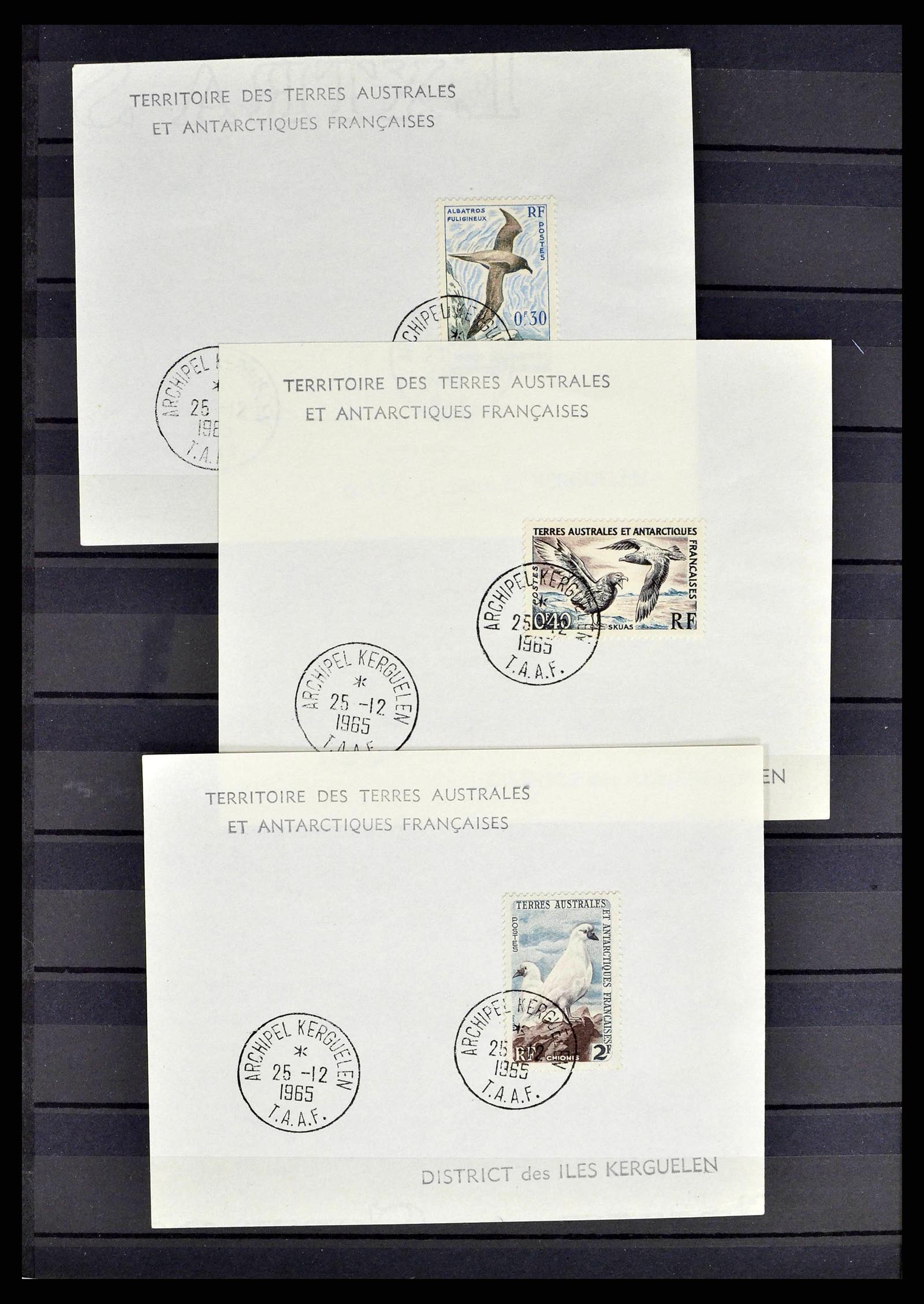 38776 0043 - Postzegelverzameling 38776 Frans Antarctica 1948-2011.