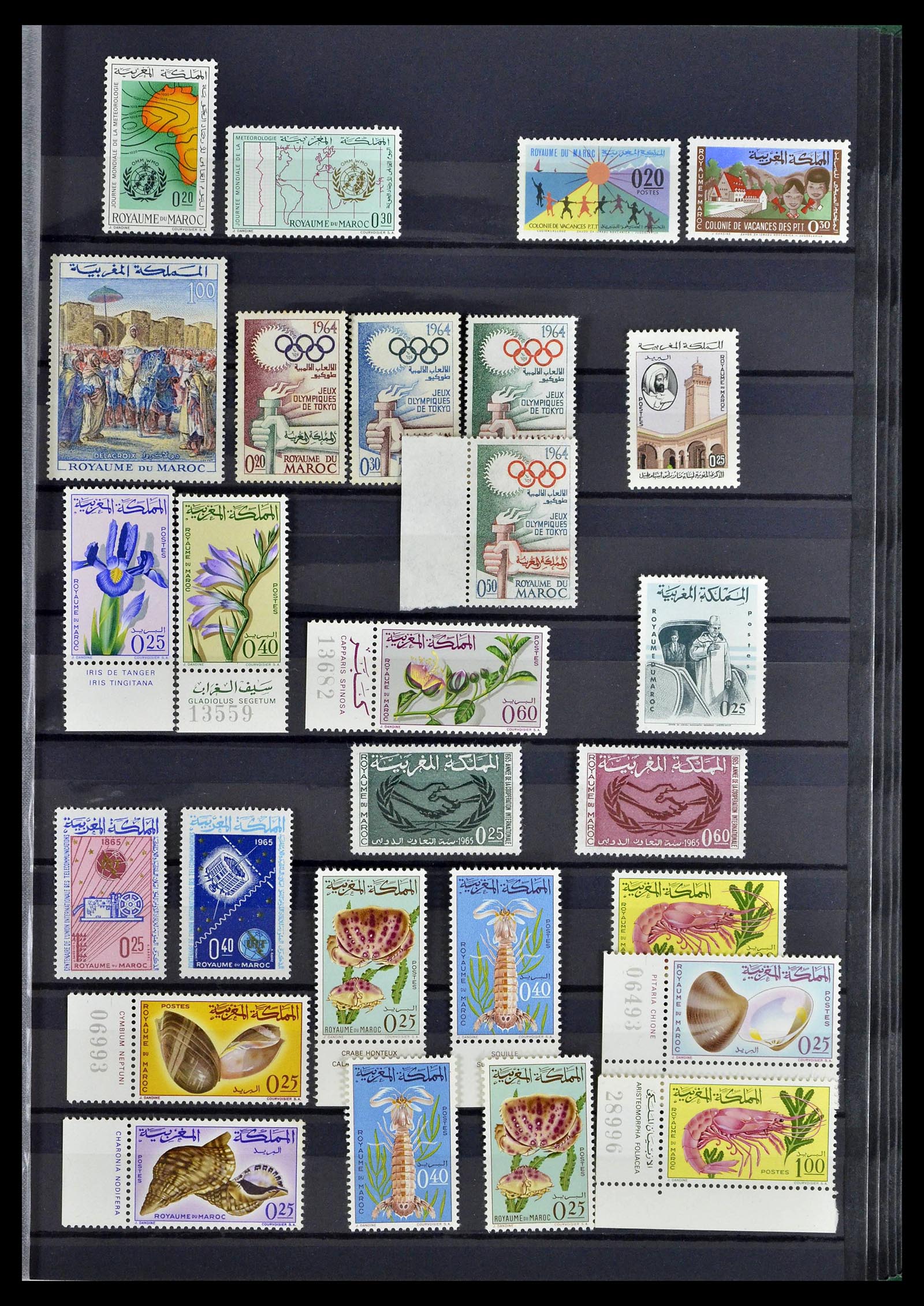 38778 0033 - Postzegelverzameling 38778 Marokko 1891-1980.