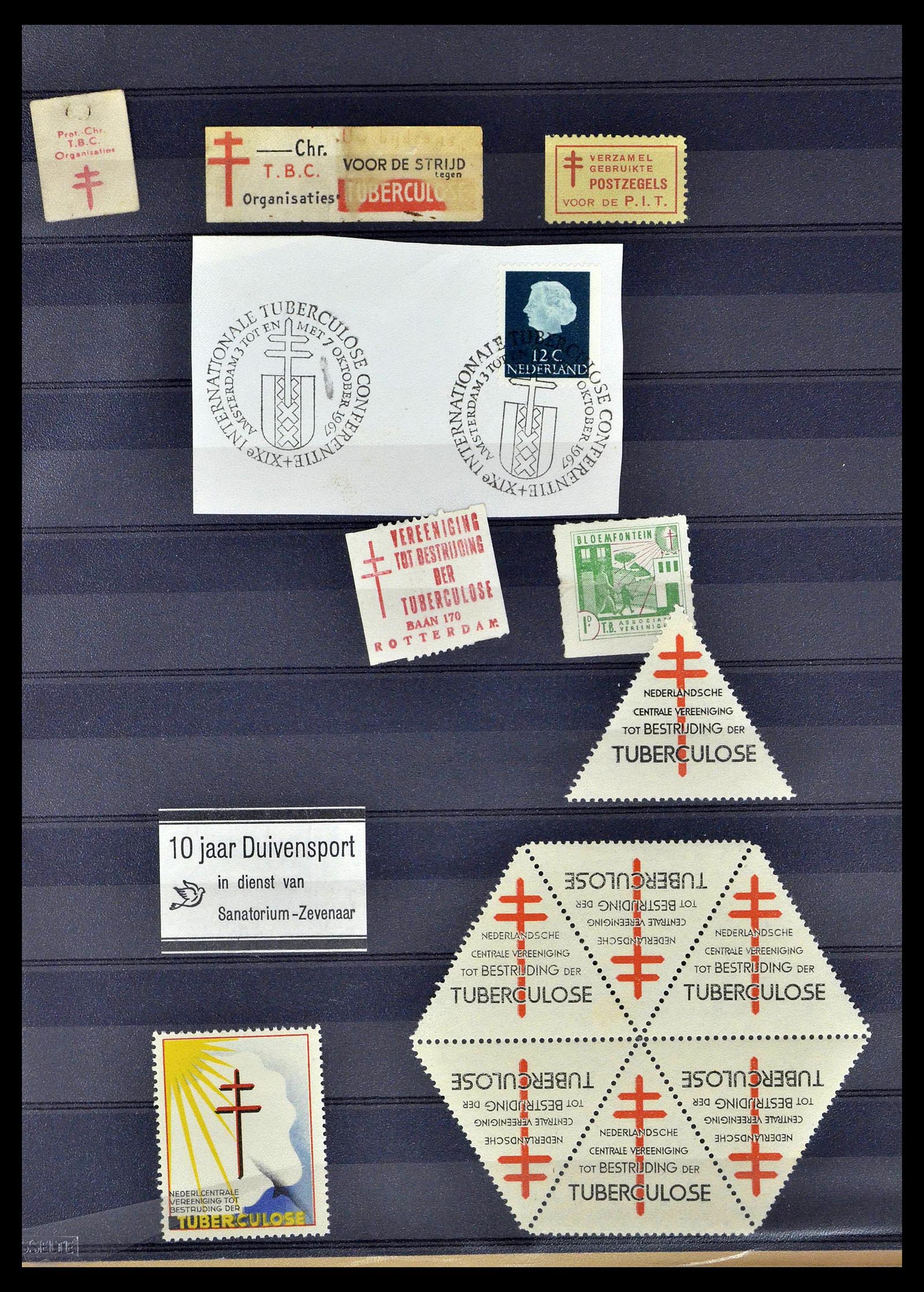 38786 0004 - Postzegelverzameling 38786 Nederland tuberculose 1906-2006.