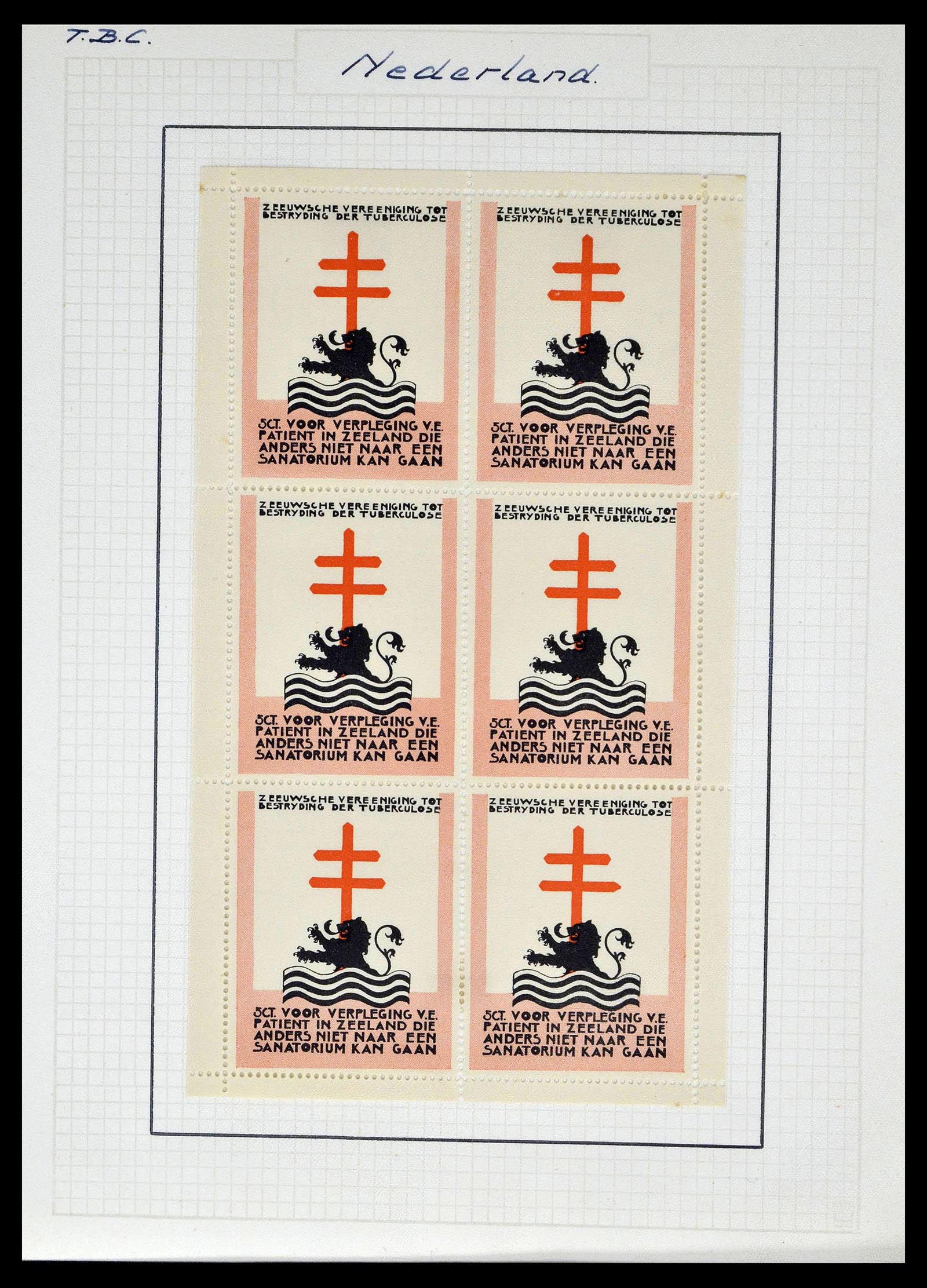 38786 0006 - Postzegelverzameling 38786 Nederland tuberculose 1906-2006.