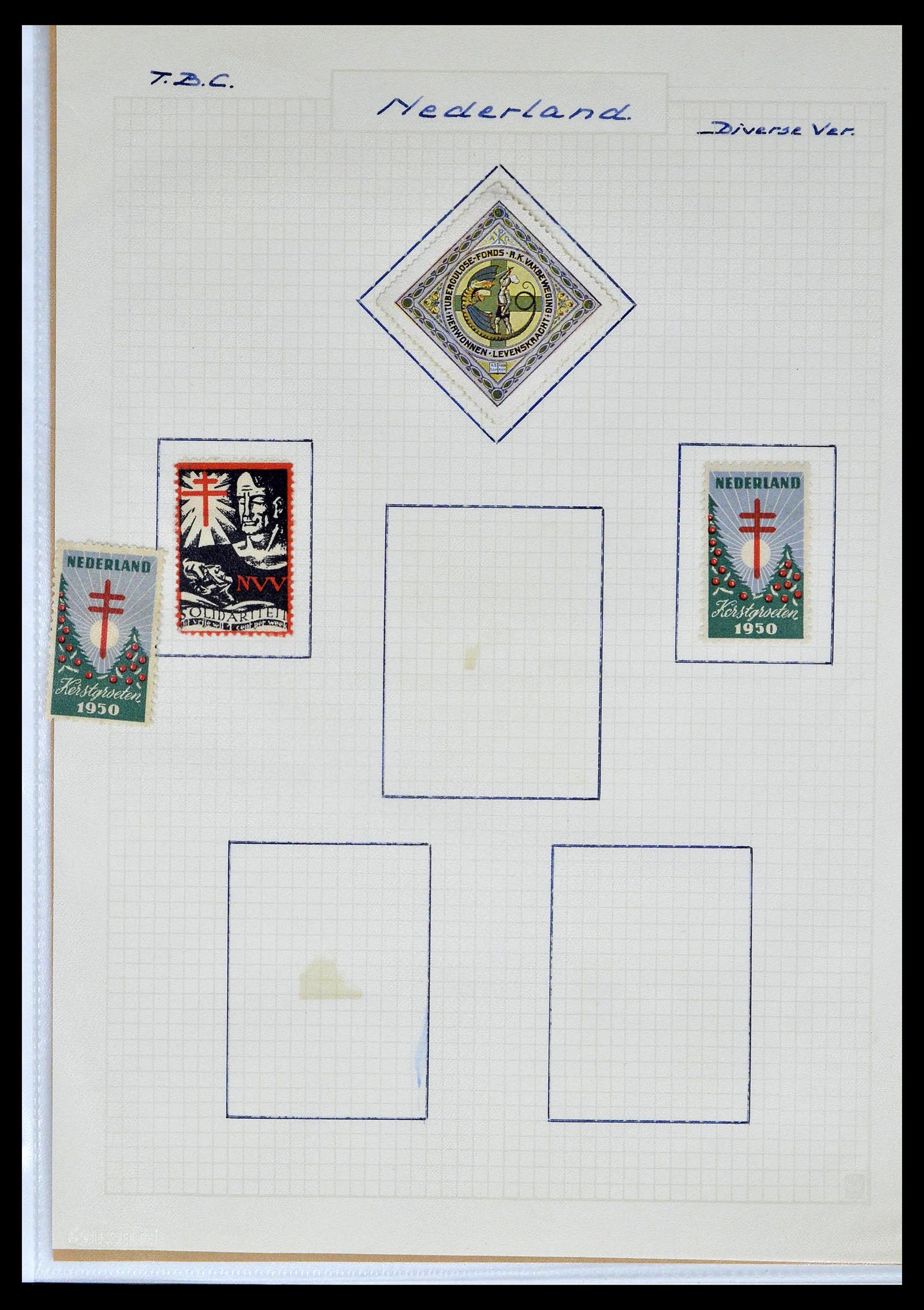 38786 0060 - Postzegelverzameling 38786 Nederland tuberculose 1906-2006.