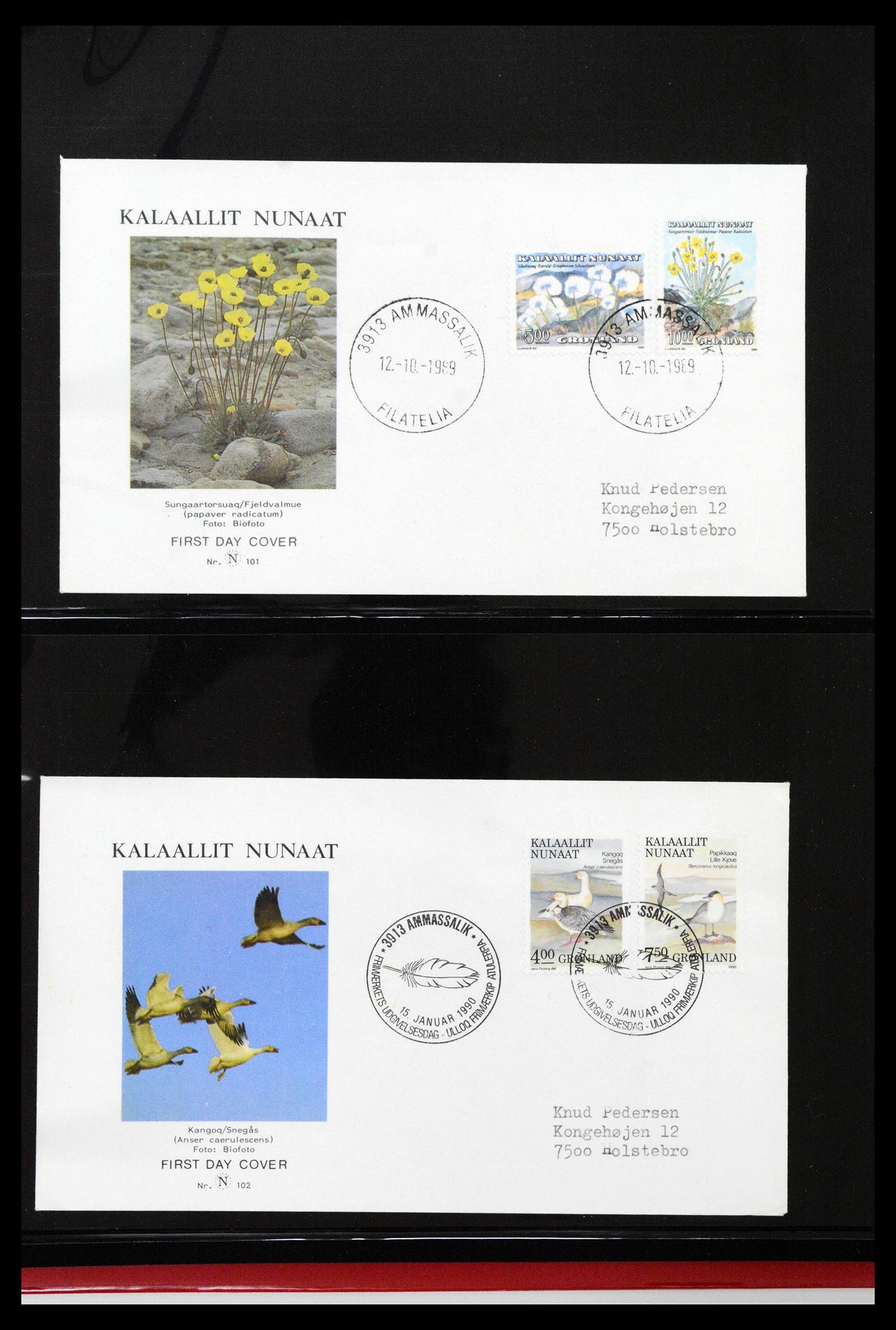 38824 0071 - Stamp collection 38824 Greenland first day covers 1950-2017.