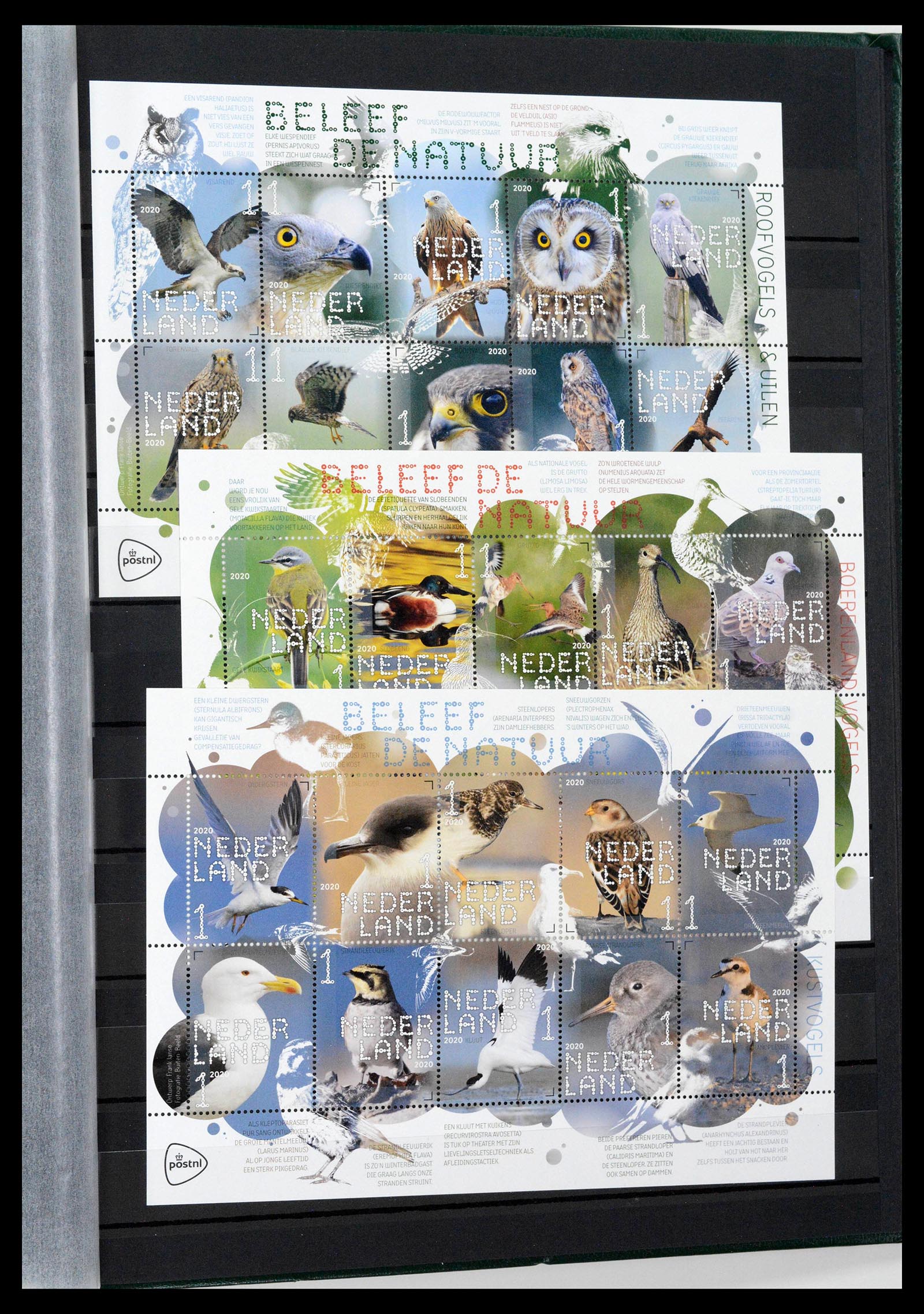 38996 0096 - Stamp collection 38996 Netherlands 2001-2023!
