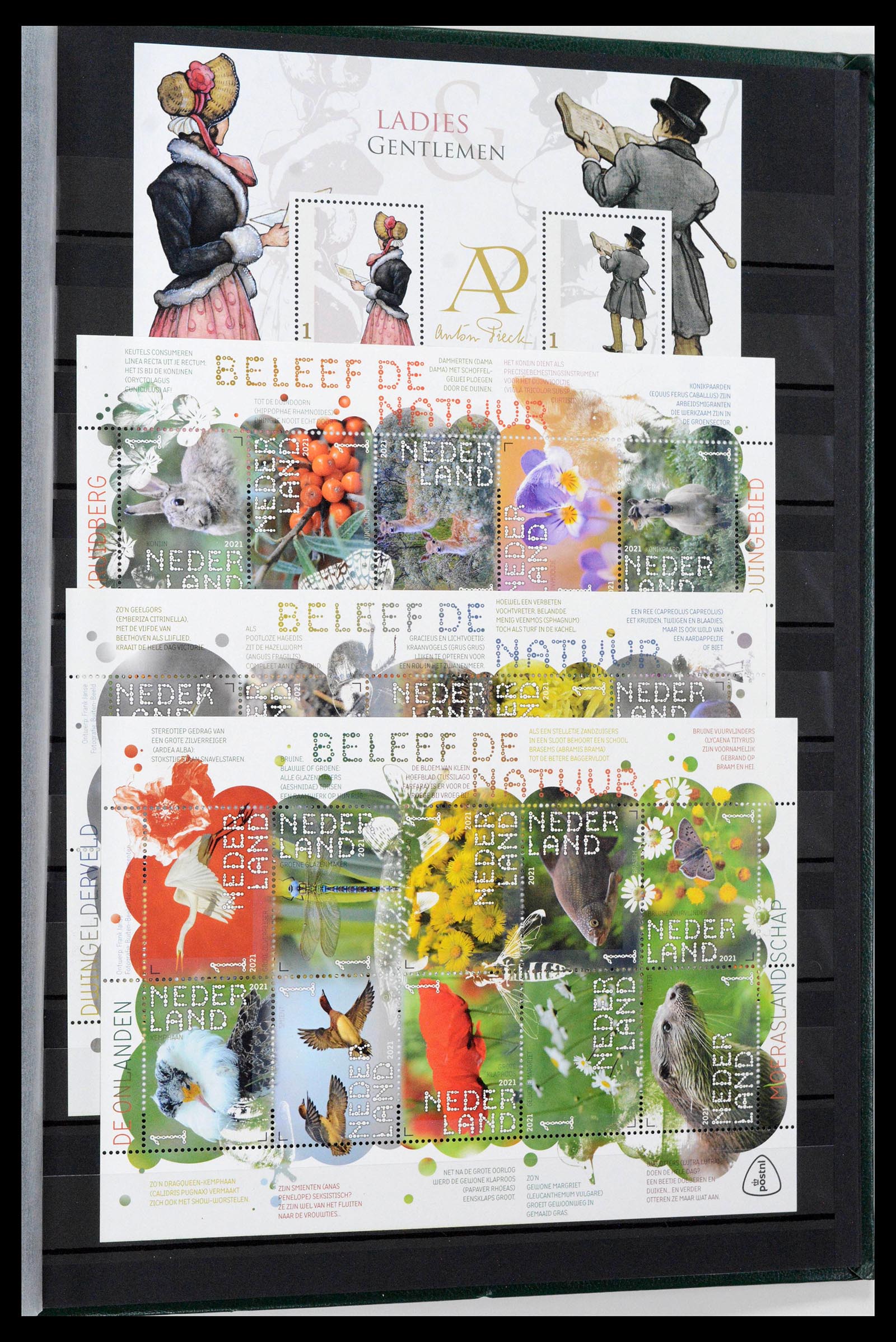 38996 0100 - Stamp collection 38996 Netherlands 2001-2023!