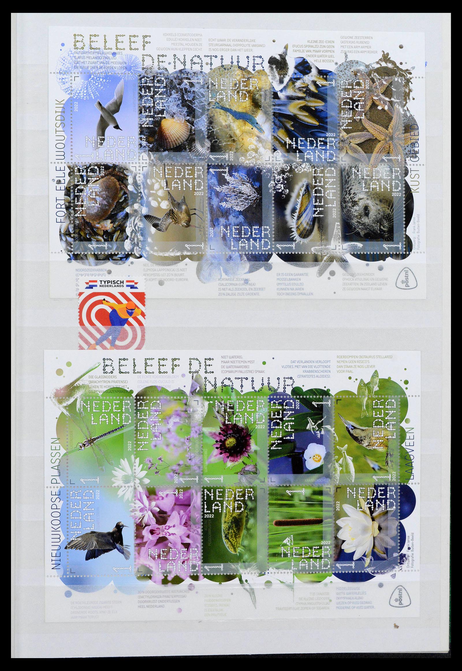 38996 0104 - Stamp collection 38996 Netherlands 2001-2023!