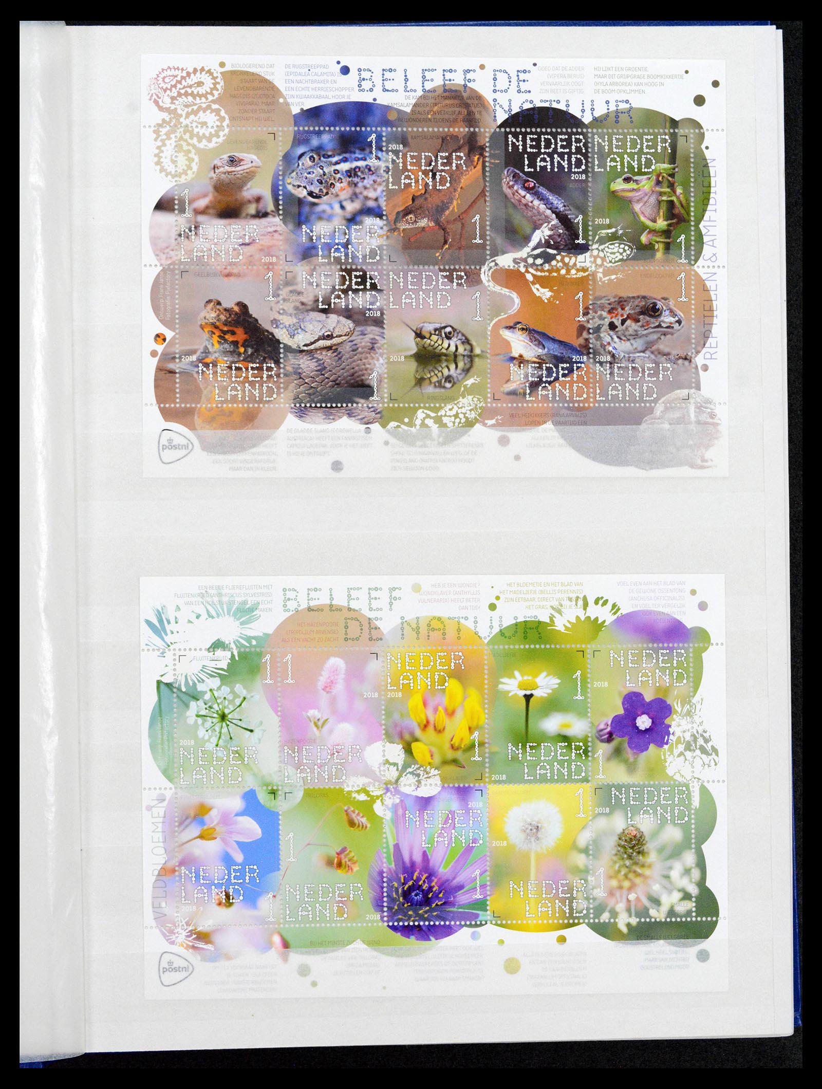 39029 0092 - Postzegelverzameling 39029 Nederland overcompleet 2001-2021!!