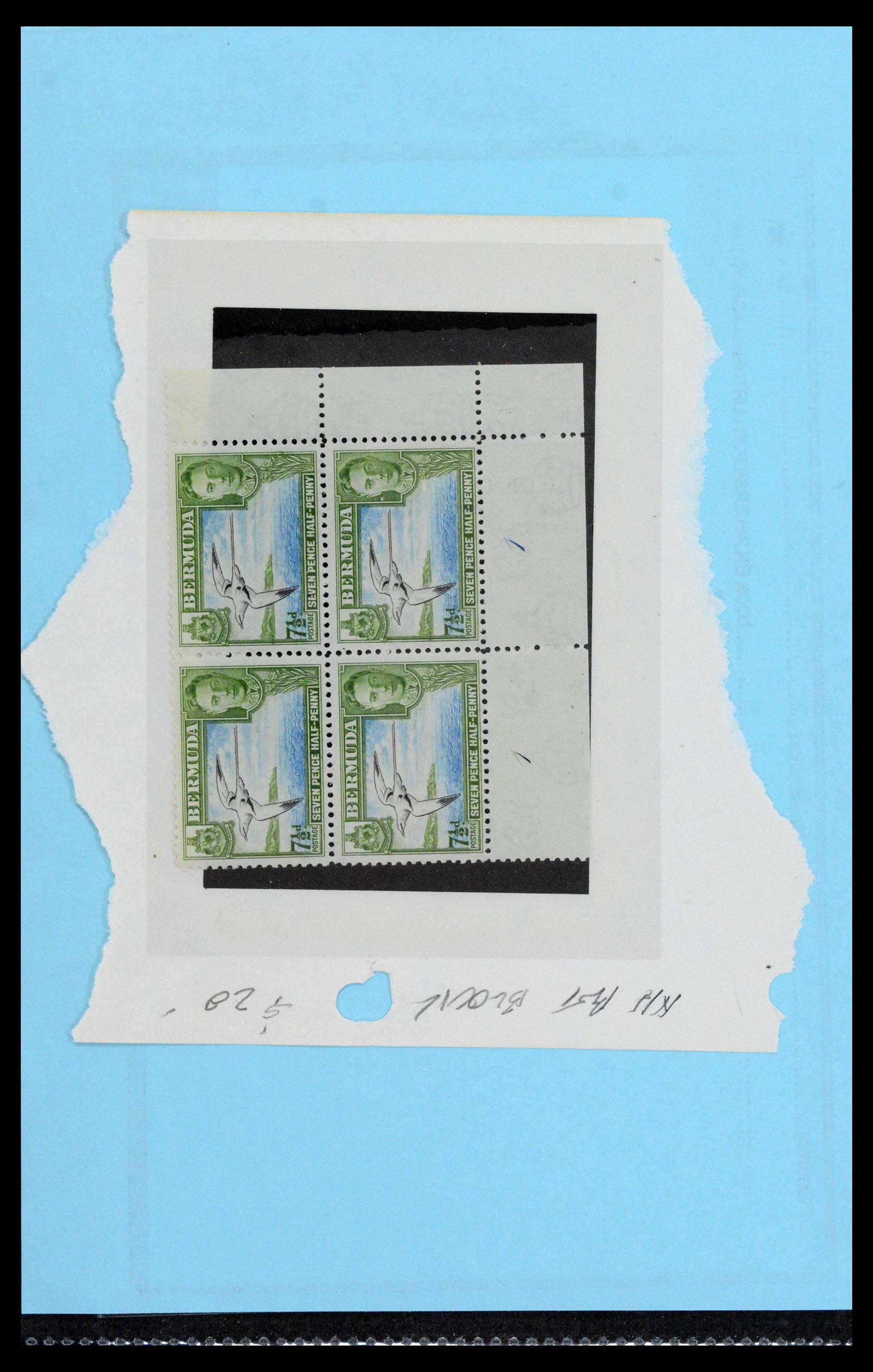 39118 0059 - Postzegelverzameling 39118 Bermuda 1875-1953.