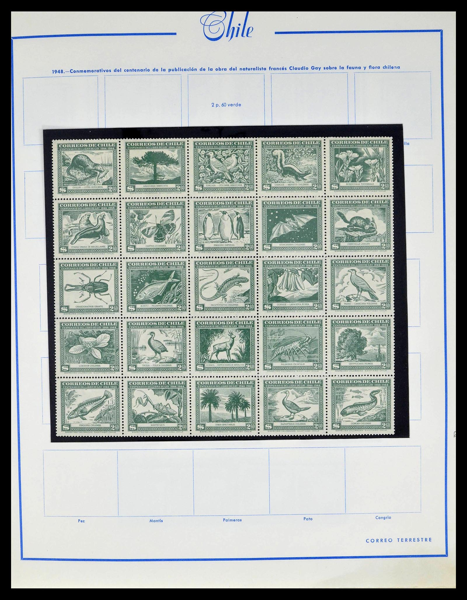 39213 0015 - Stamp collection 39213 Chile 1853-1970.
