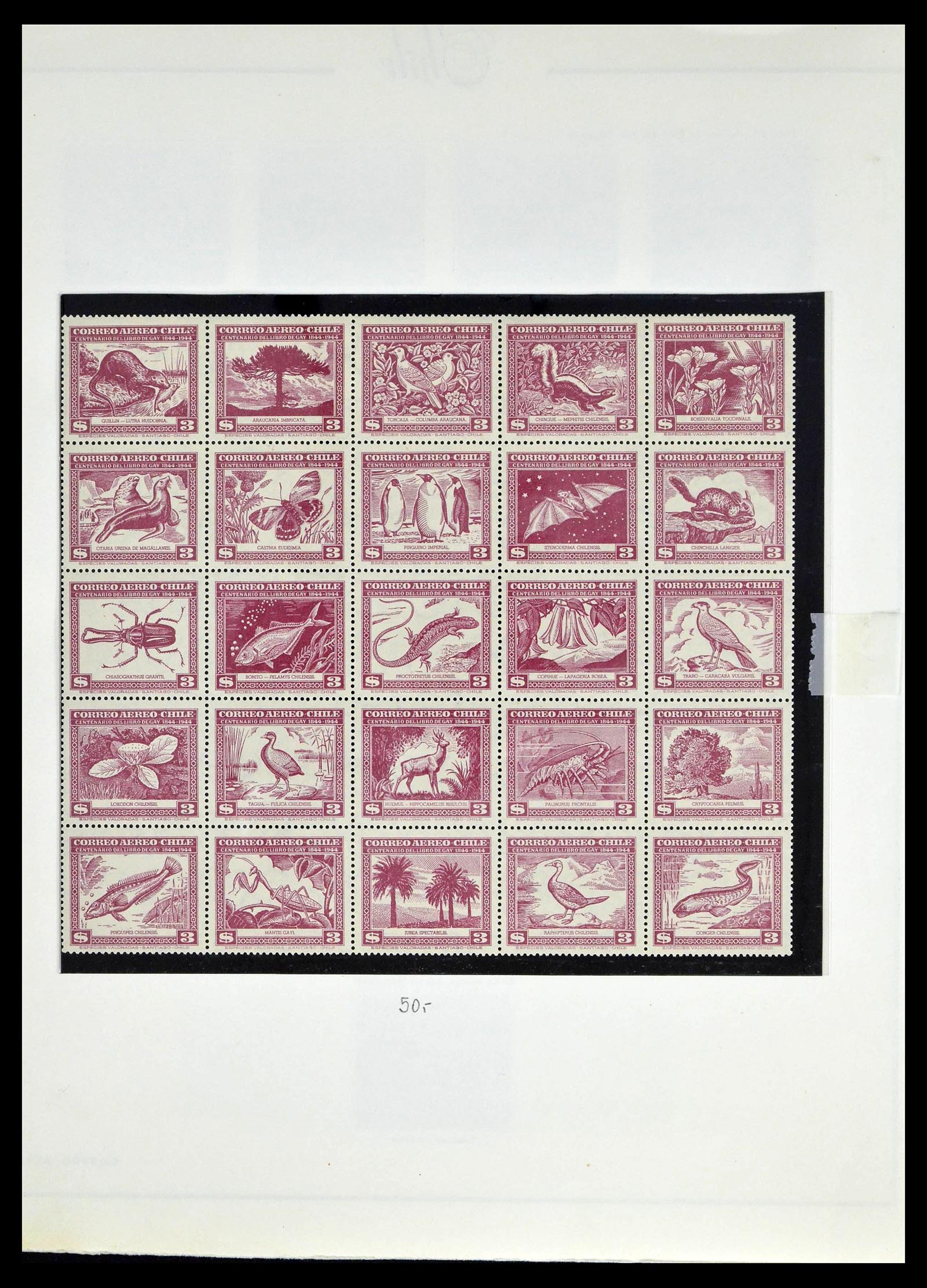 39213 0049 - Stamp collection 39213 Chile 1853-1970.