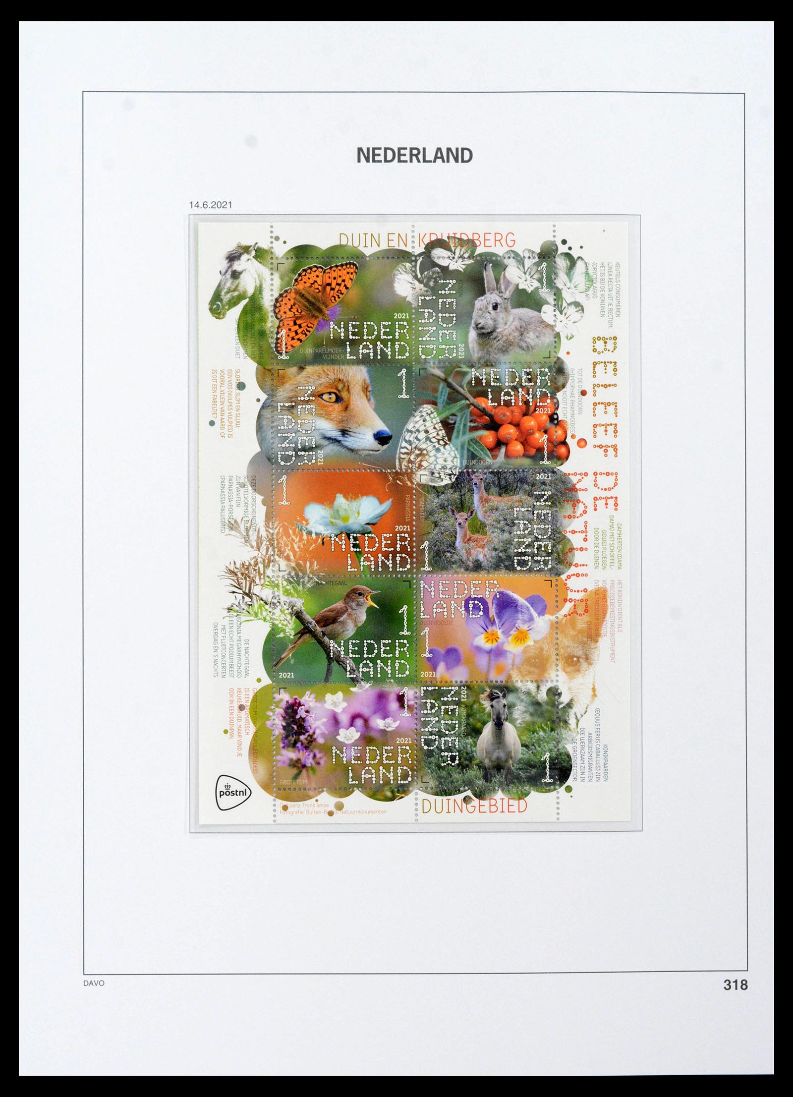 39306 0289 - Stamp collection 39306 Netherlands 1990-2021!
