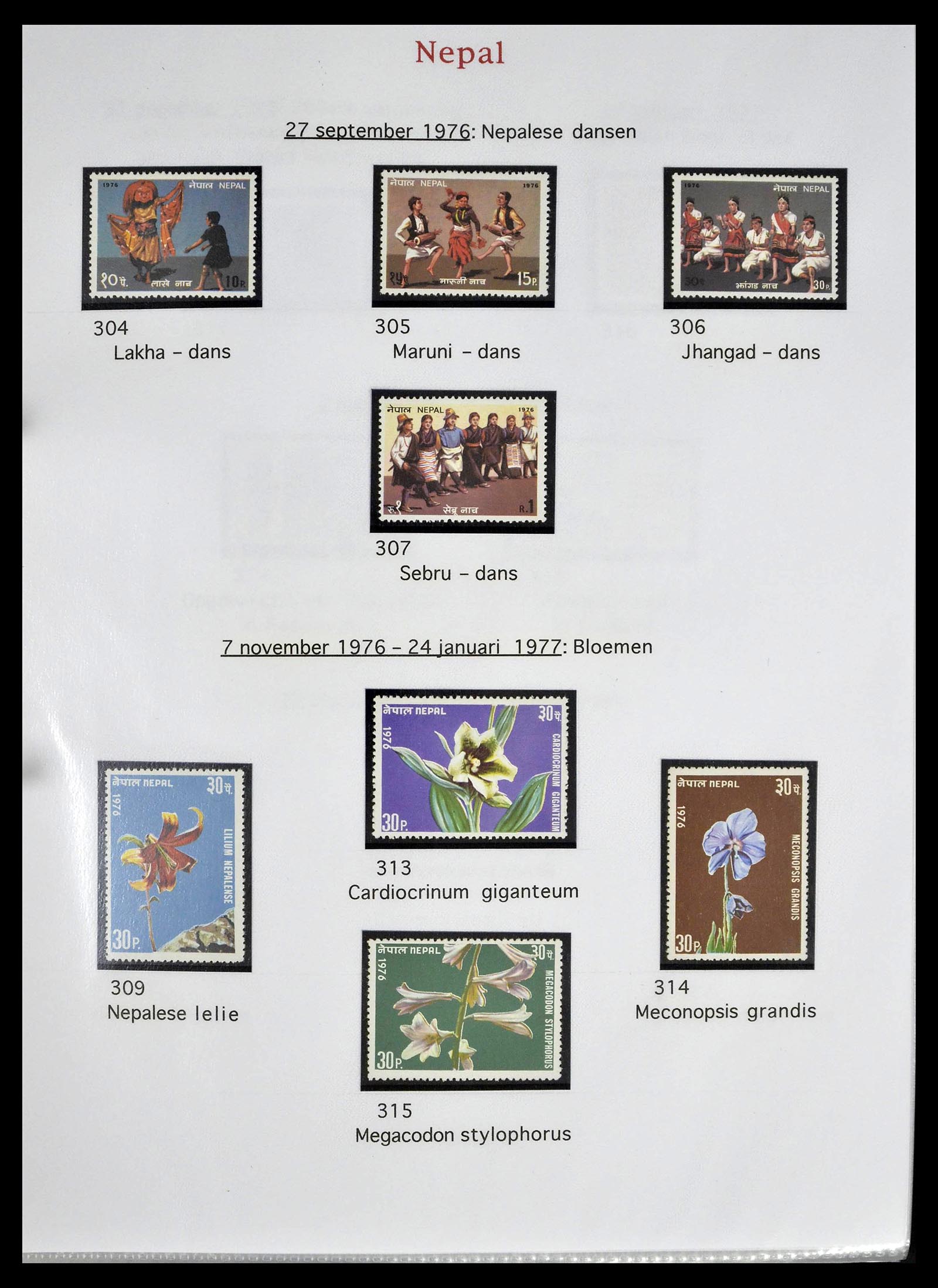 39313 0040 - Postzegelverzameling 39313 Nepal 1881-1999.
