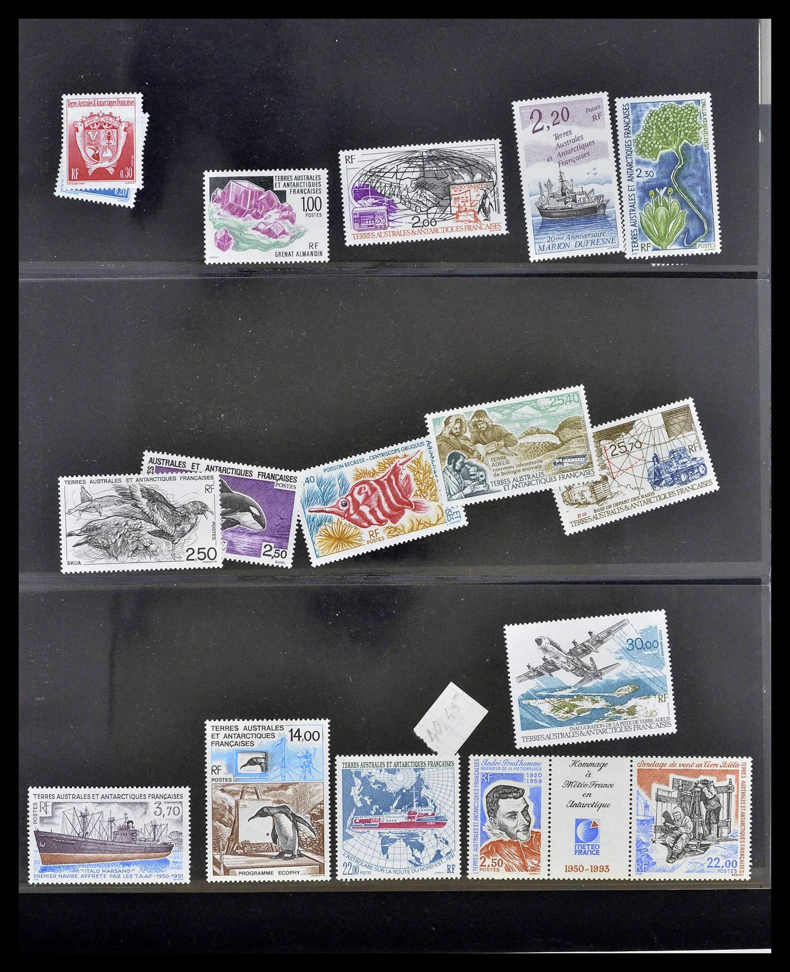 39371 0035 - Postzegelverzameling 39371 TAAF 1948-1999.