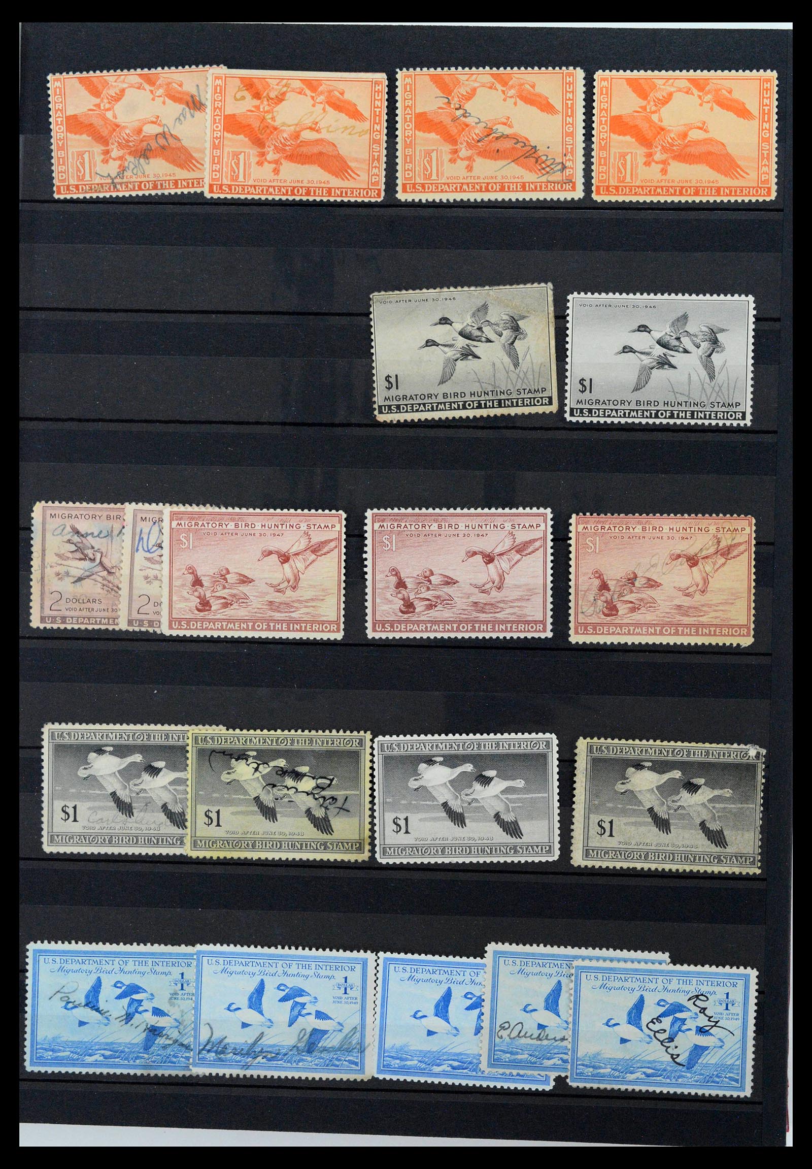 39426 0003 - Postzegelverzameling 39426 USA duckstamps 1934-2007.