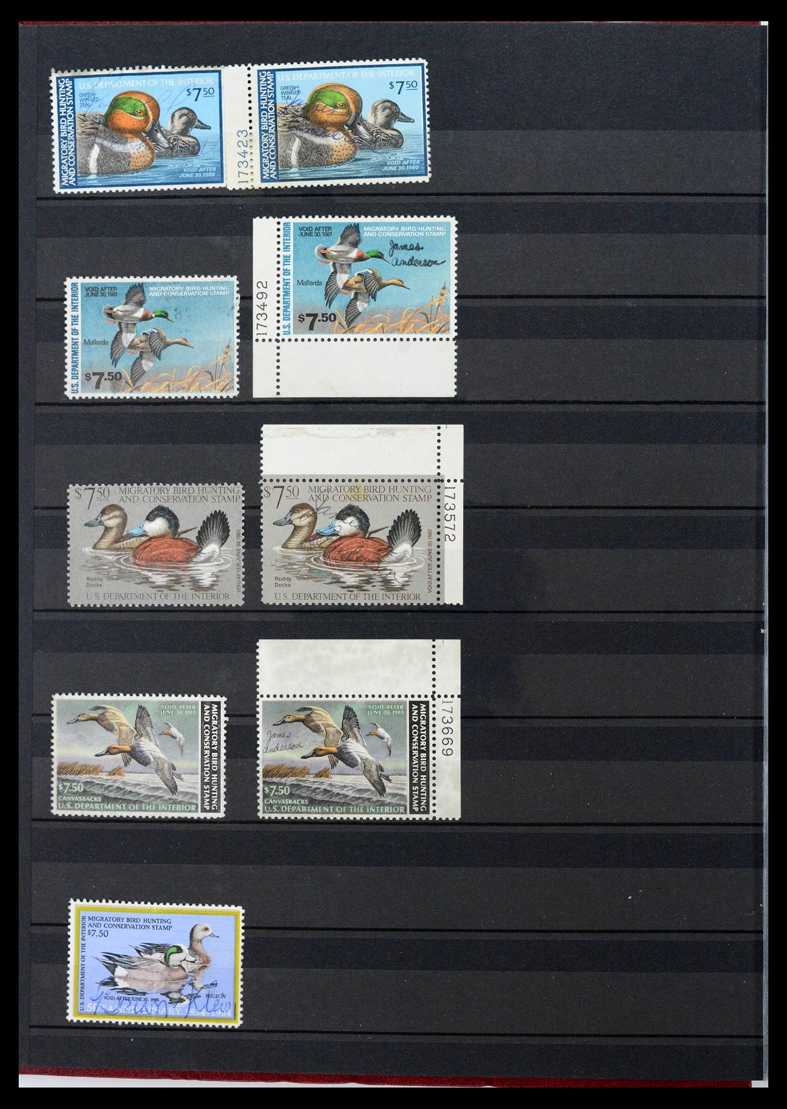 39426 0010 - Stamp collection 39426 USA duckstamps 1934-2007.