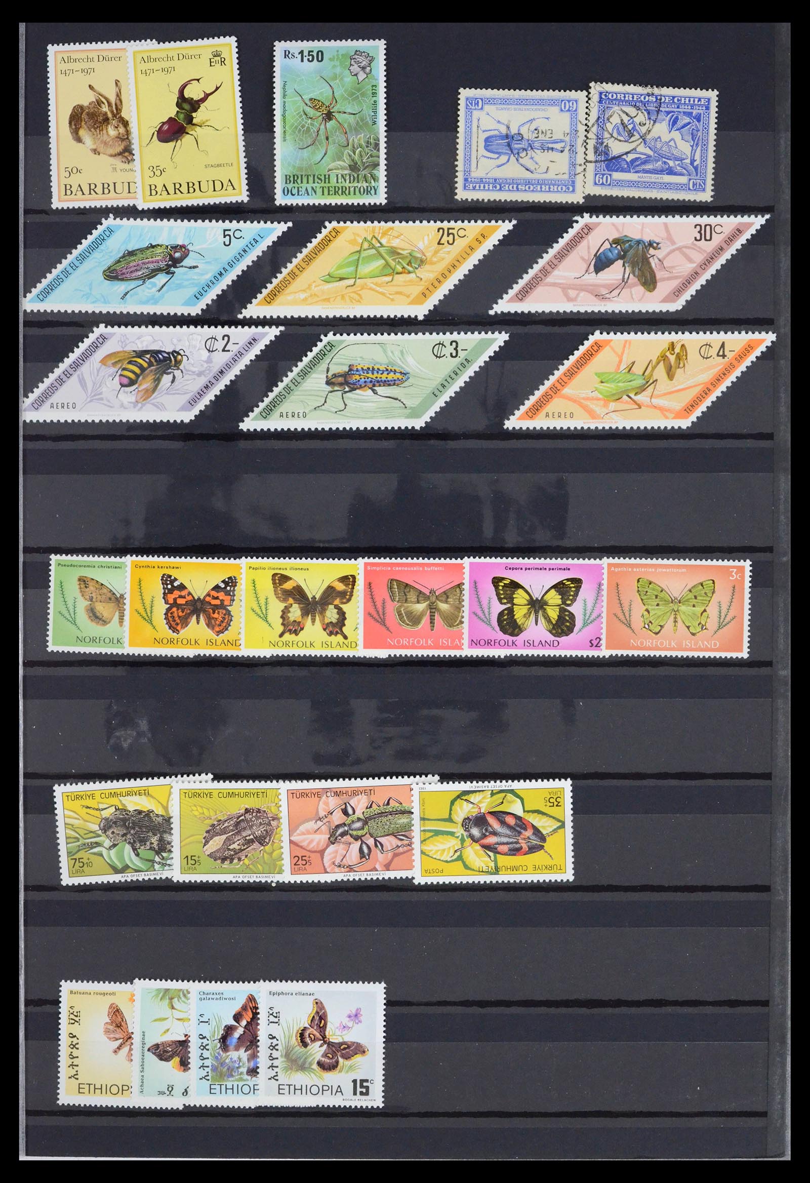 39446 0005 - Postzegelverzameling 39446 Motief vlinders 1960-2000.