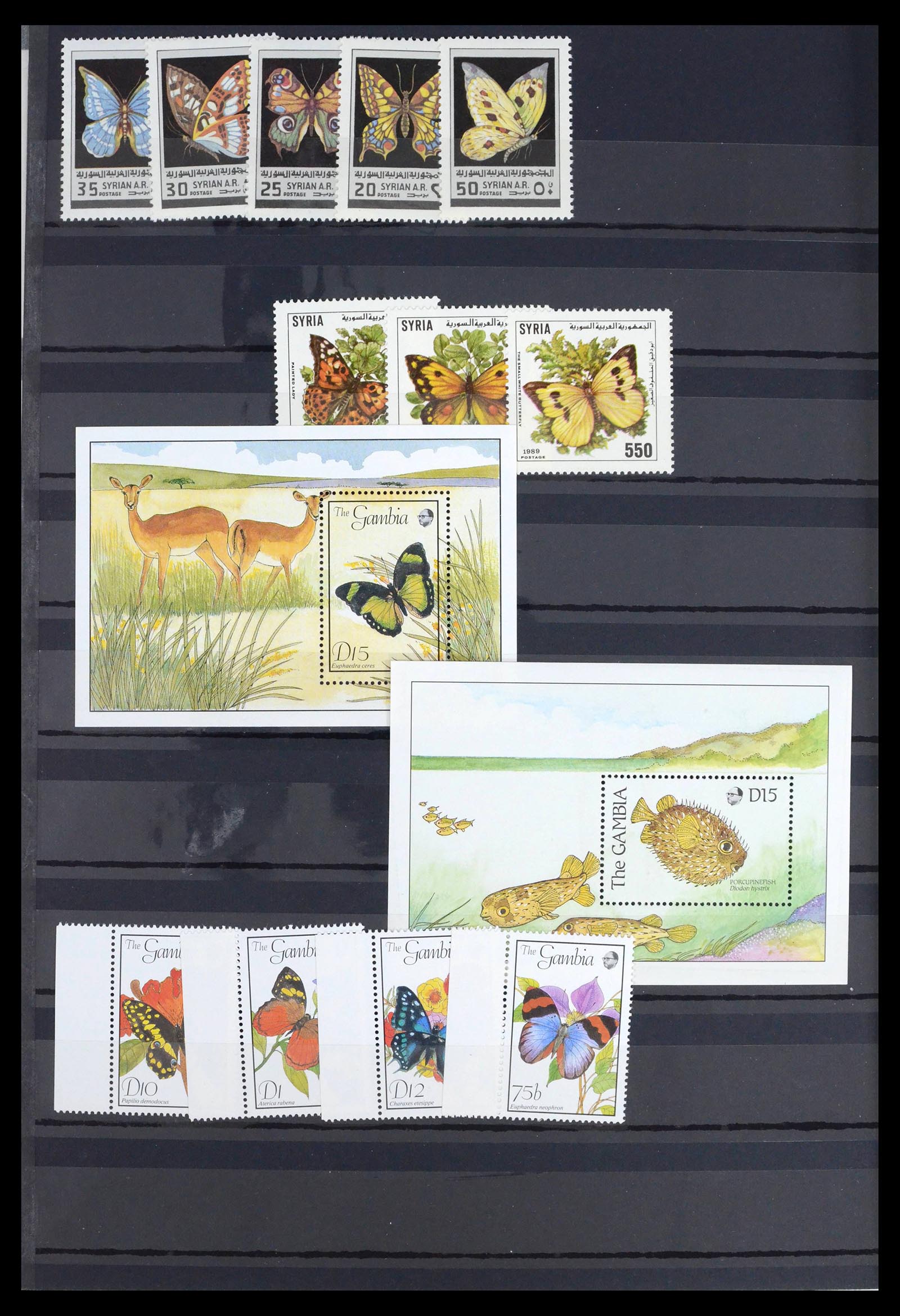 39446 0008 - Postzegelverzameling 39446 Motief vlinders 1960-2000.