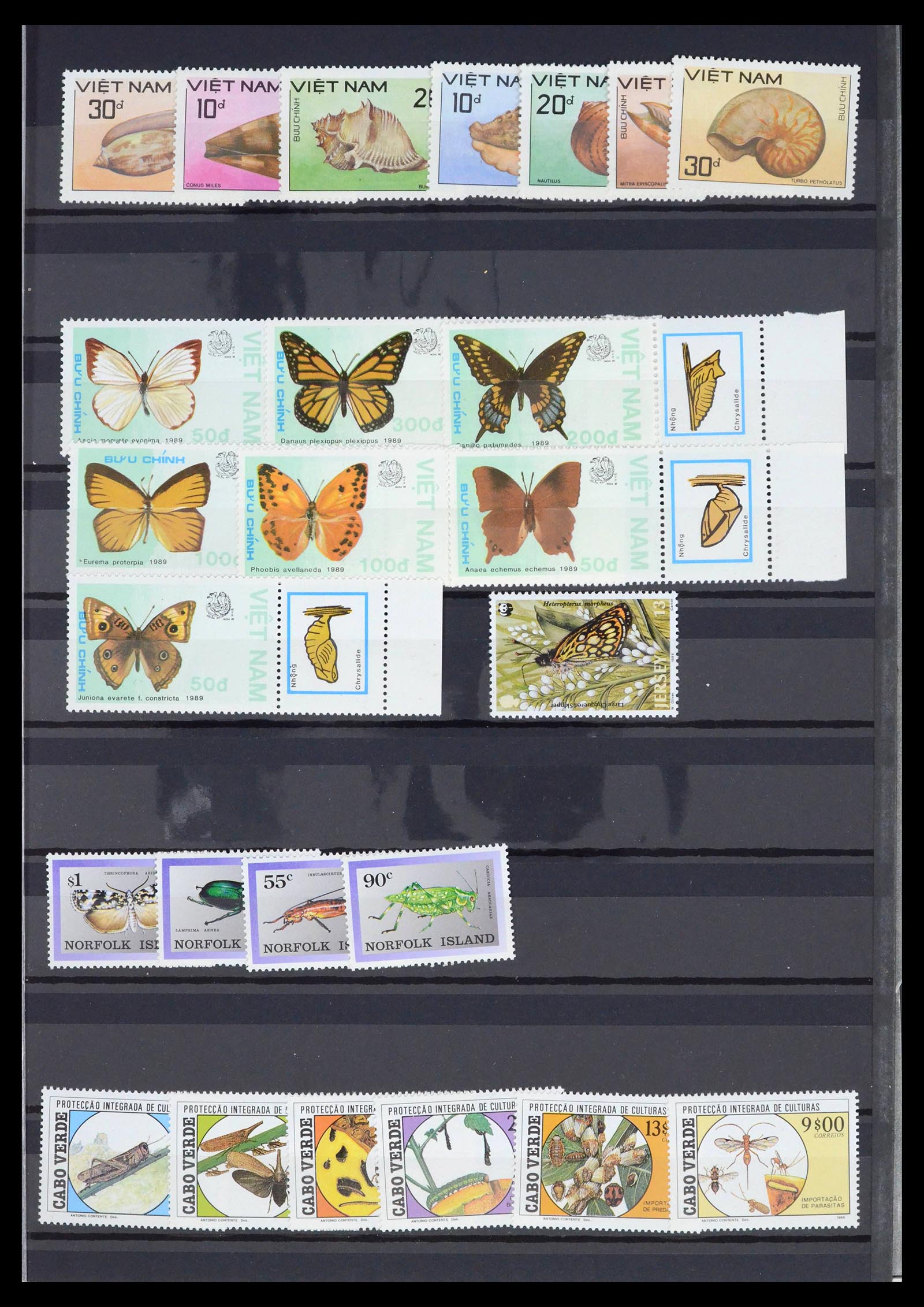 39446 0013 - Postzegelverzameling 39446 Motief vlinders 1960-2000.