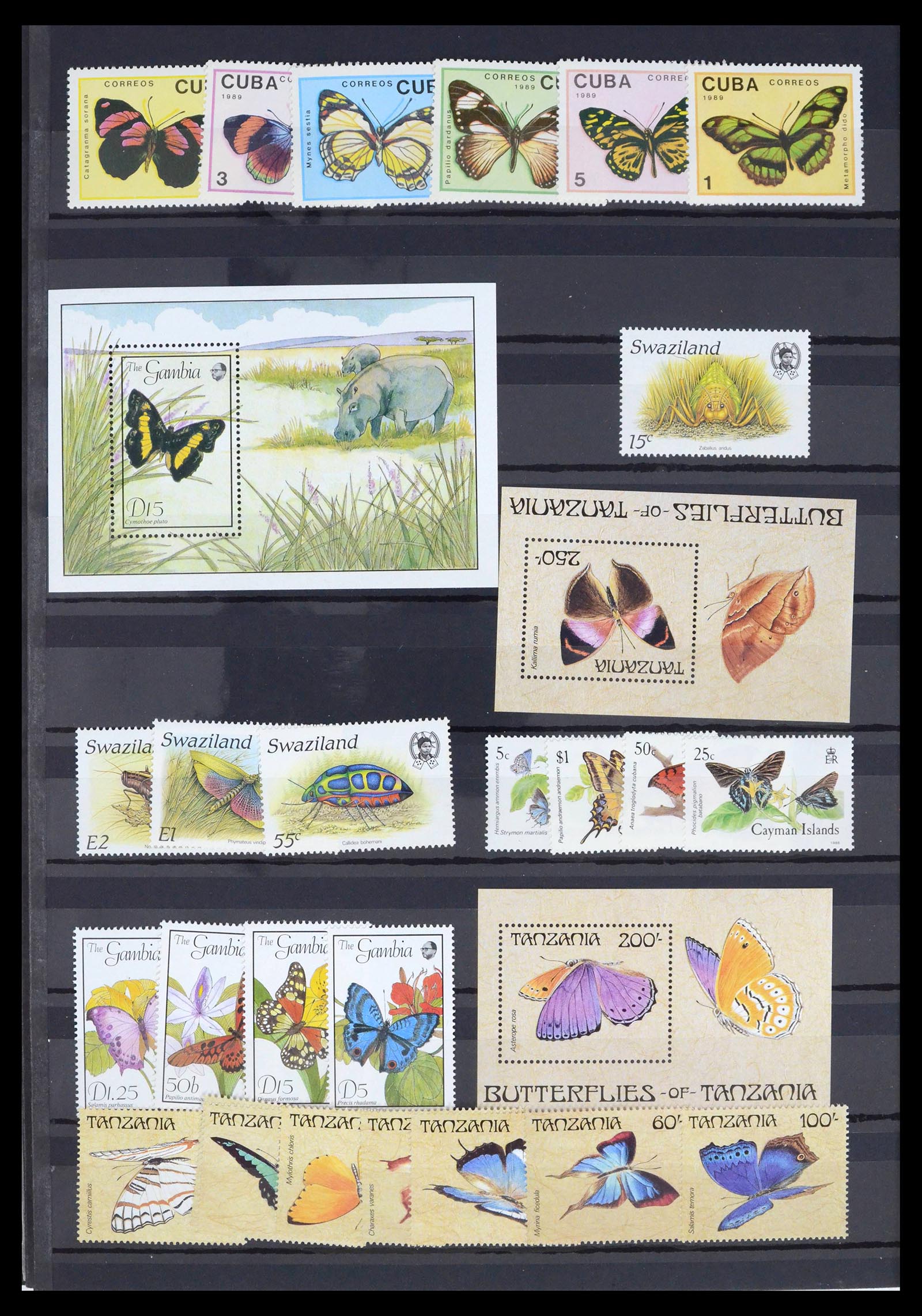 39446 0014 - Postzegelverzameling 39446 Motief vlinders 1960-2000.