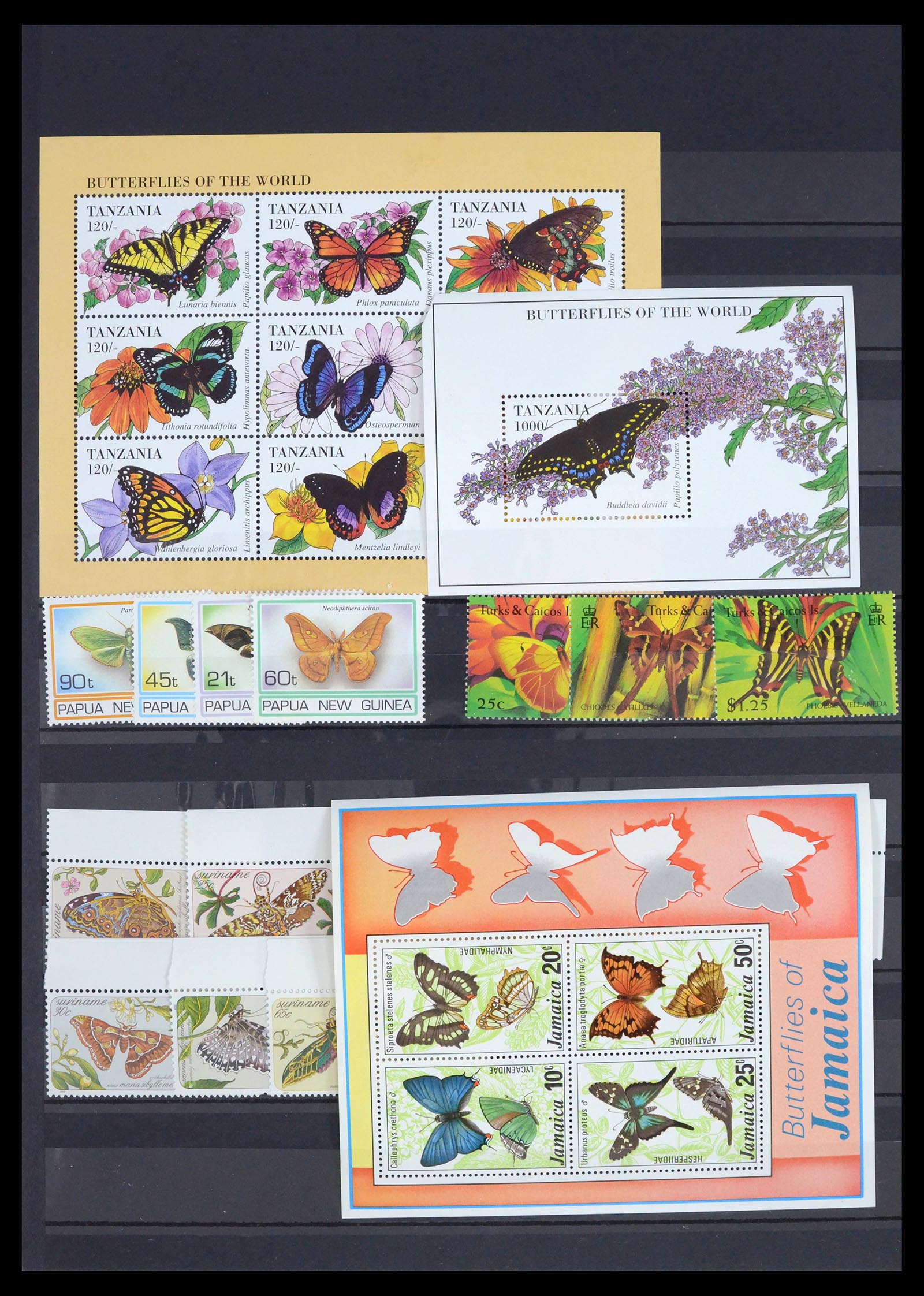 39446 0171 - Postzegelverzameling 39446 Motief vlinders 1960-2000.