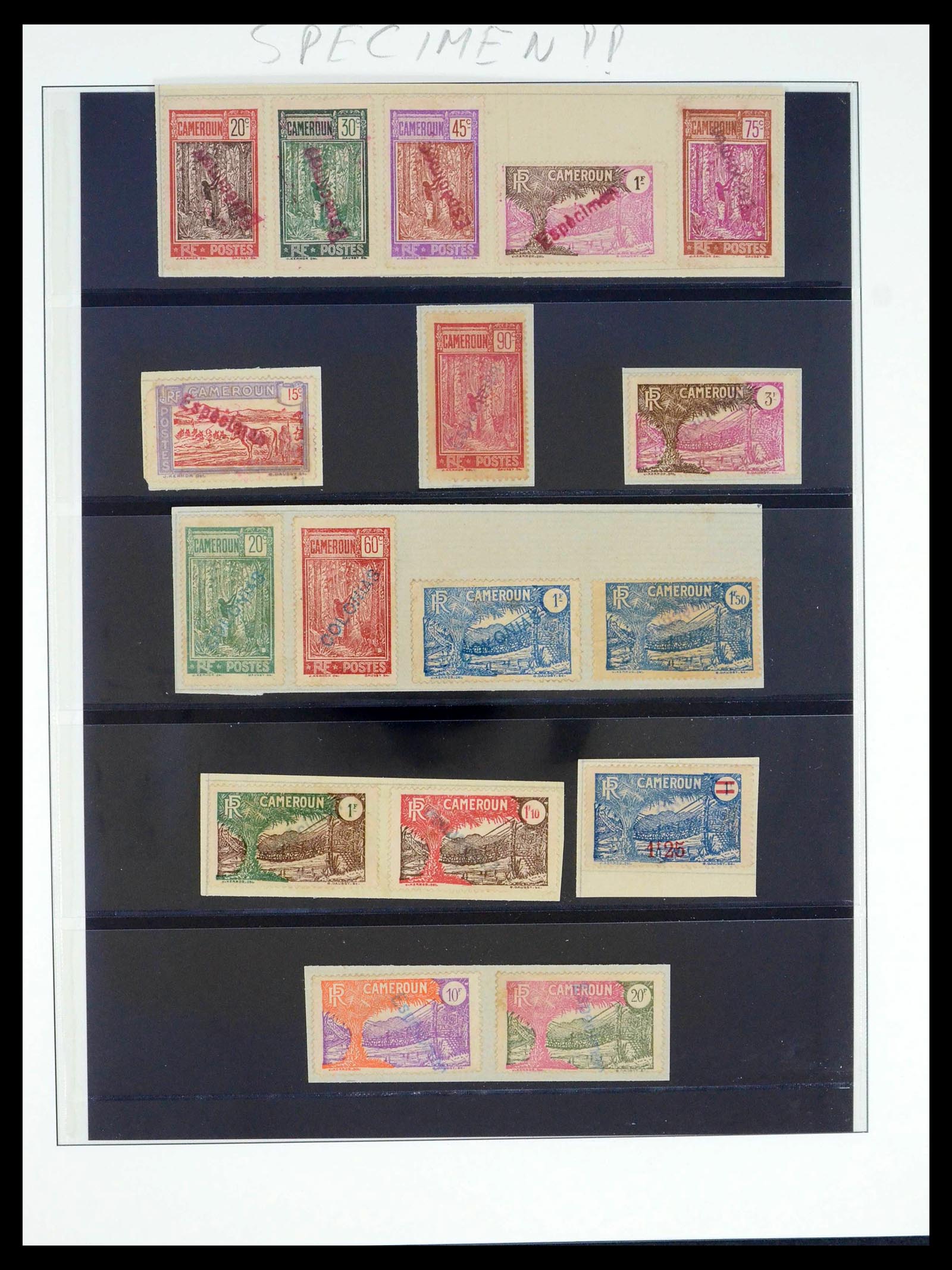 39485 0031 - Postzegelverzameling 39485 Kameroen 1915-1928.