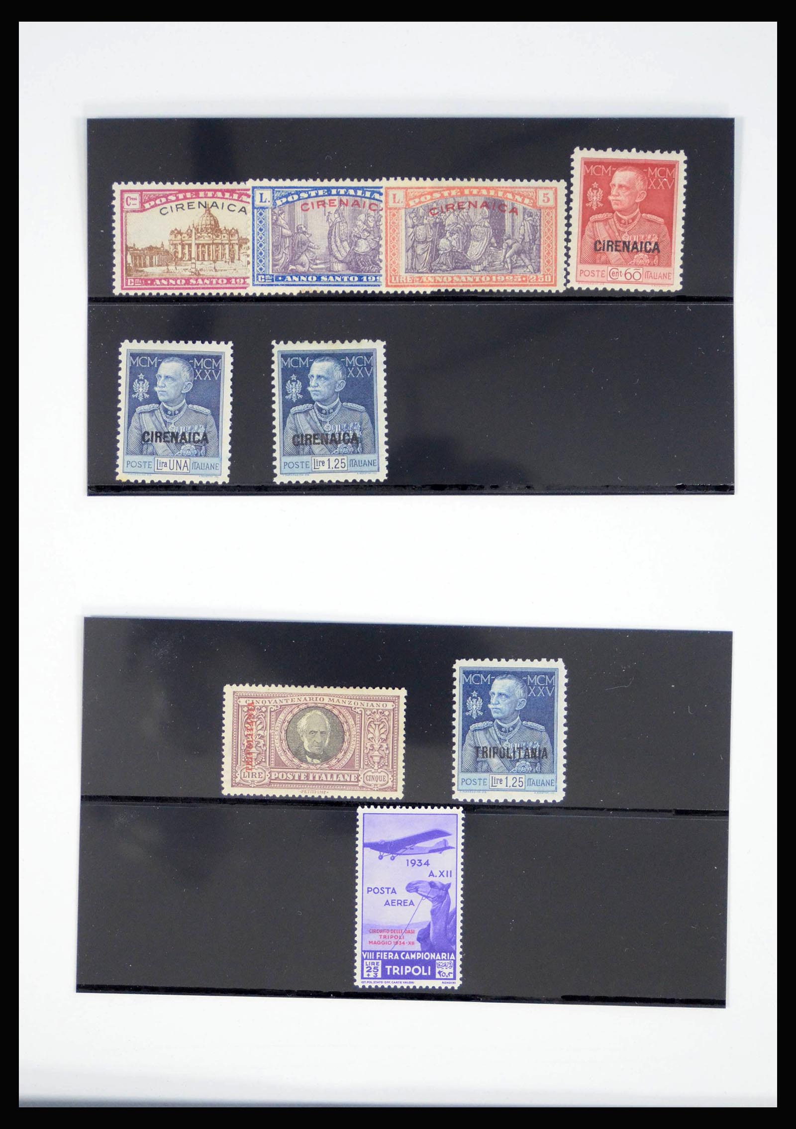 40020 0003 - Postzegelverzameling 40020 Italiaanse koloniën 1893-1940.