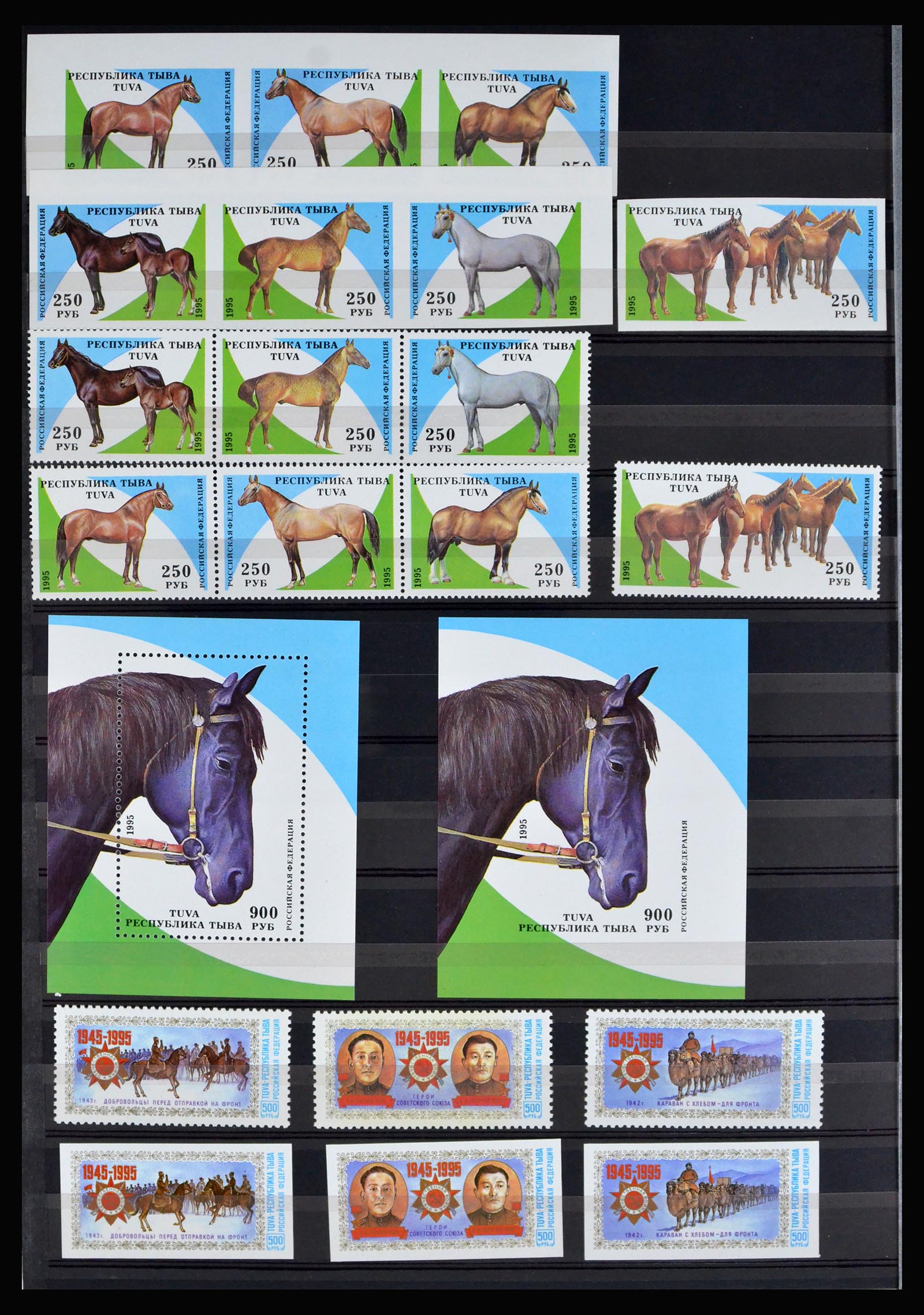 40204 0012 - Postzegelverzameling 40204 Russische republieken t/m modern.