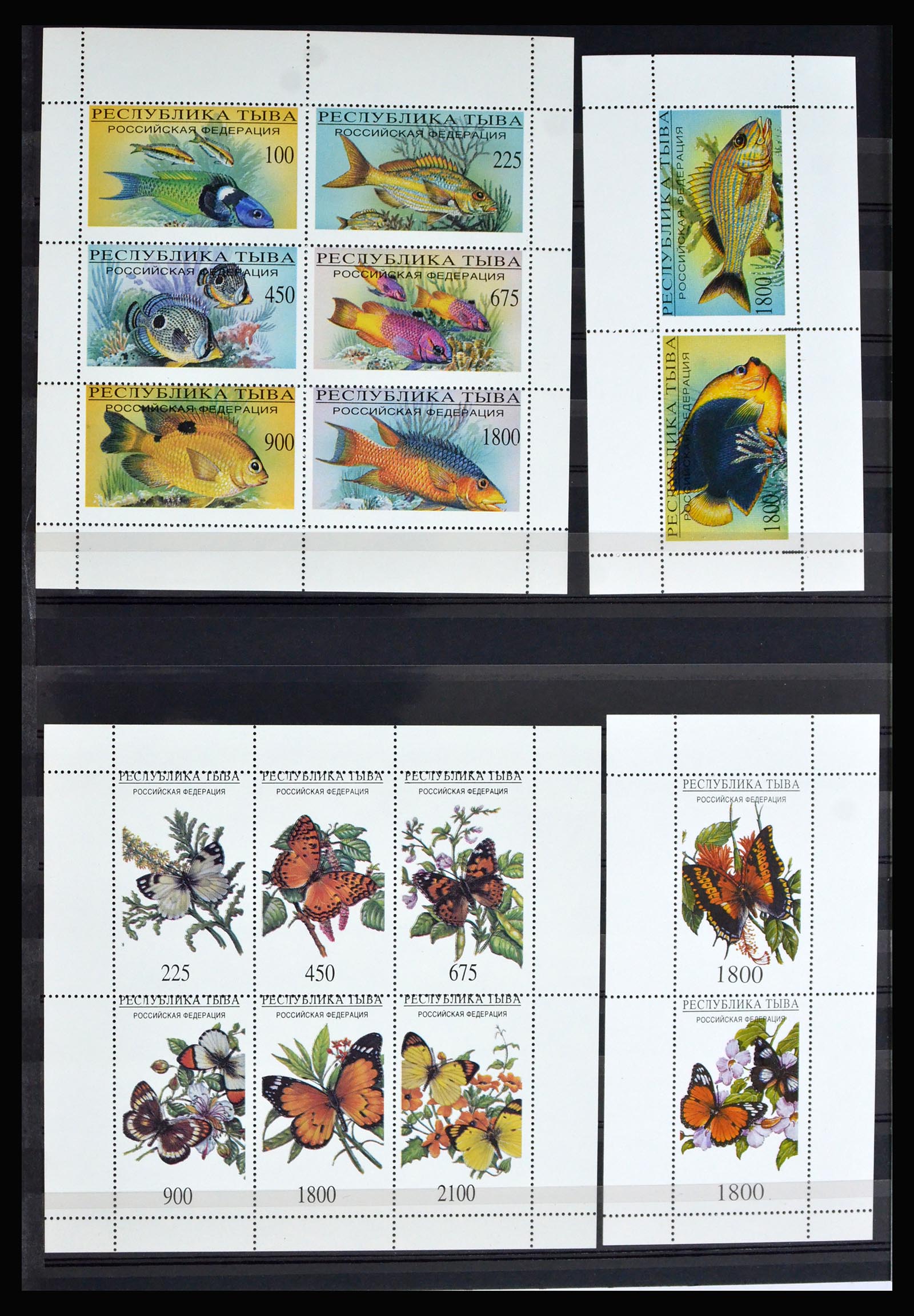 40204 0016 - Postzegelverzameling 40204 Russische republieken t/m modern.