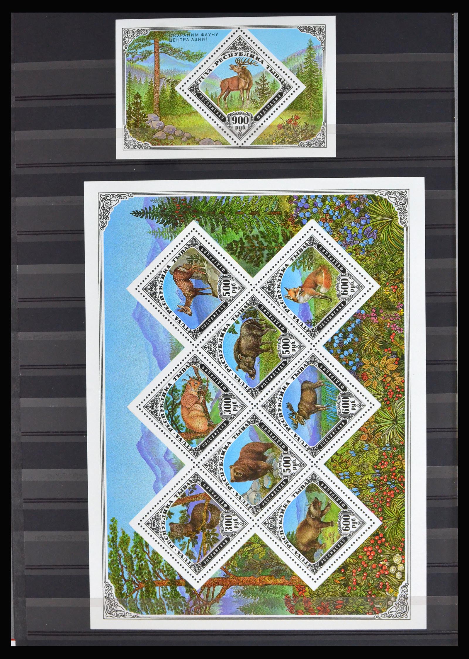 40204 0018 - Postzegelverzameling 40204 Russische republieken t/m modern.
