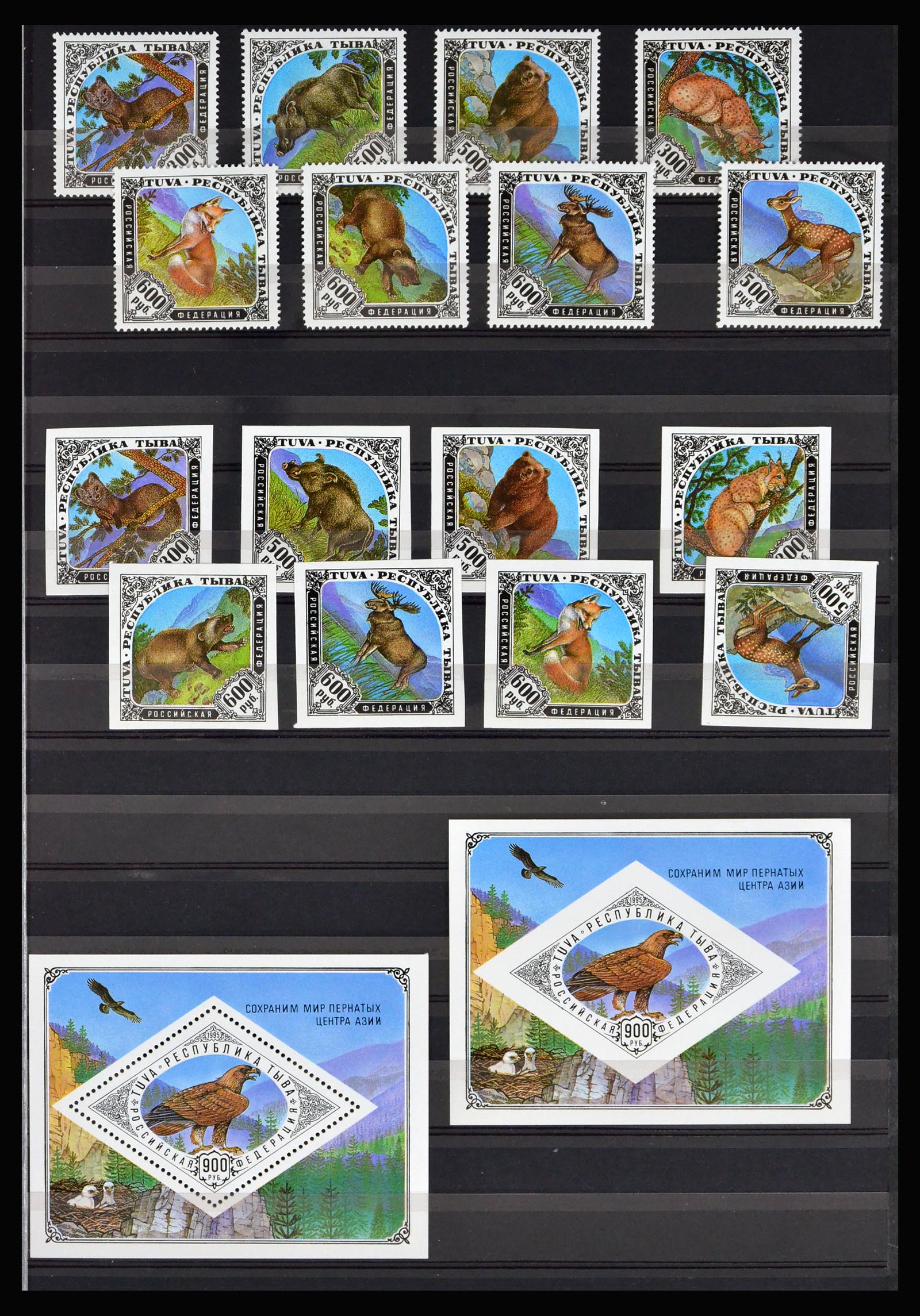 40204 0019 - Postzegelverzameling 40204 Russische republieken t/m modern.