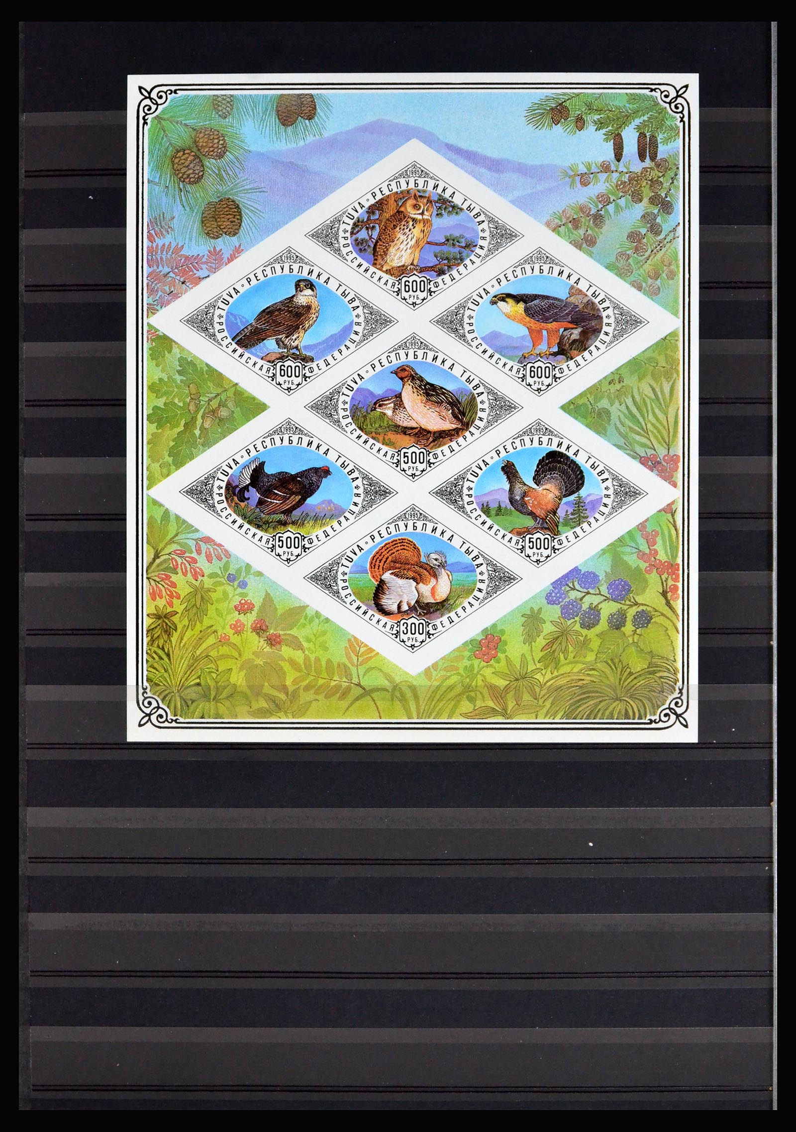 40204 0020 - Postzegelverzameling 40204 Russische republieken t/m modern.