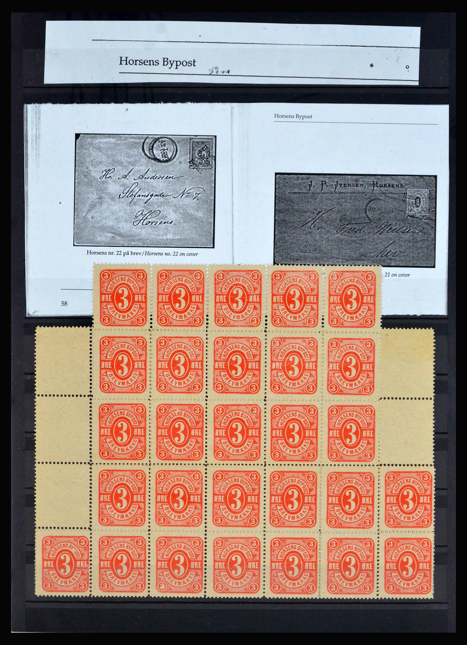 40259 0013 - Postzegel verzameling 40259 Denemarken lokaalpost 1879-1900.