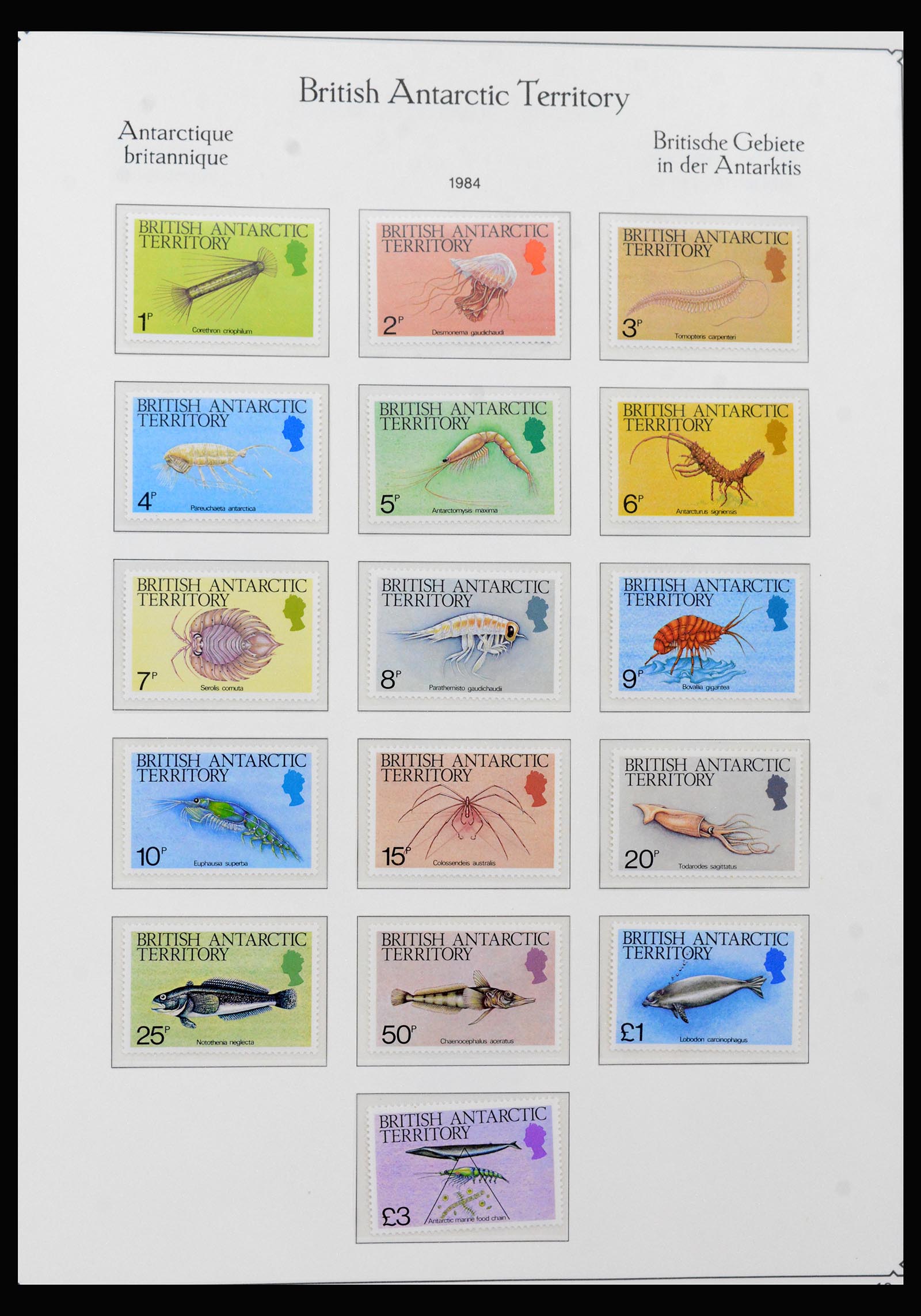 40296 0013 - Postzegel verzameling 40296 Falkland Eilanden 1953-1980.