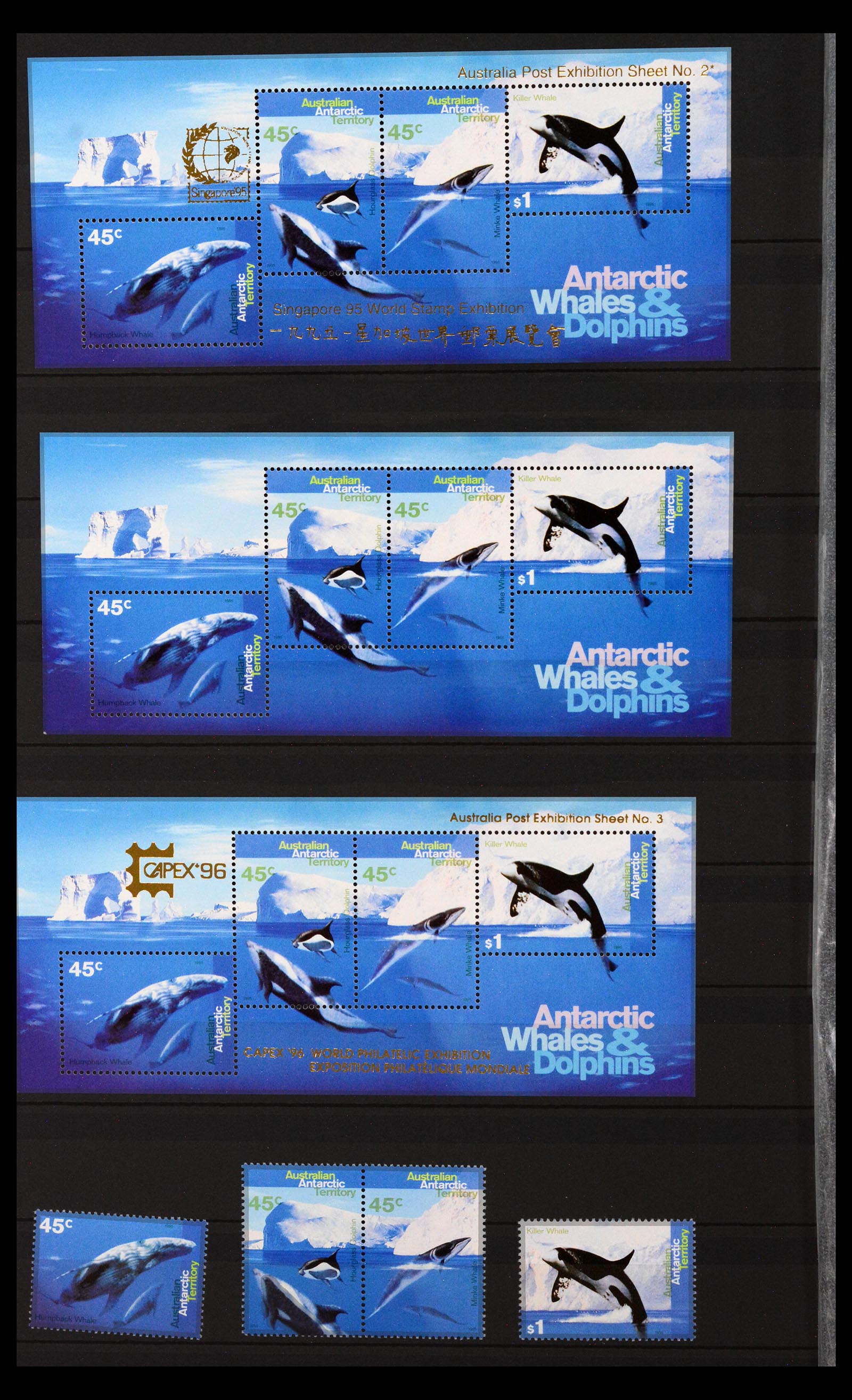 40388 0006 - Postzegel verzameling 40388 Australisch Antarctica 1958-2023!