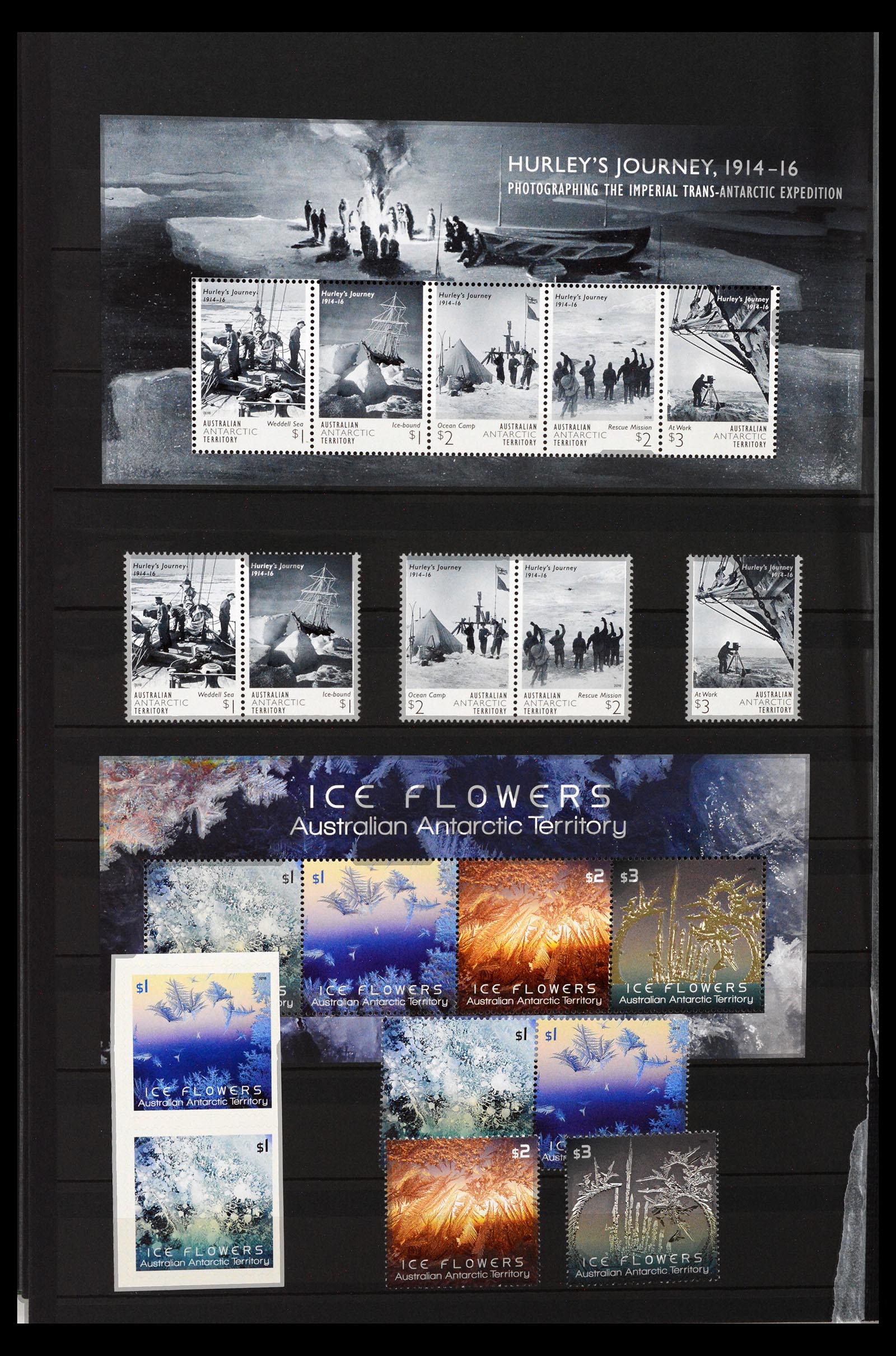 40388 0018 - Postzegel verzameling 40388 Australisch Antarctica 1958-2023!