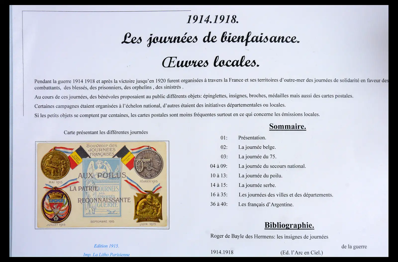 40522 0038 - Stamp collection 40522 Thematics 1st Worldwar exhitibion collection 1915-1918.