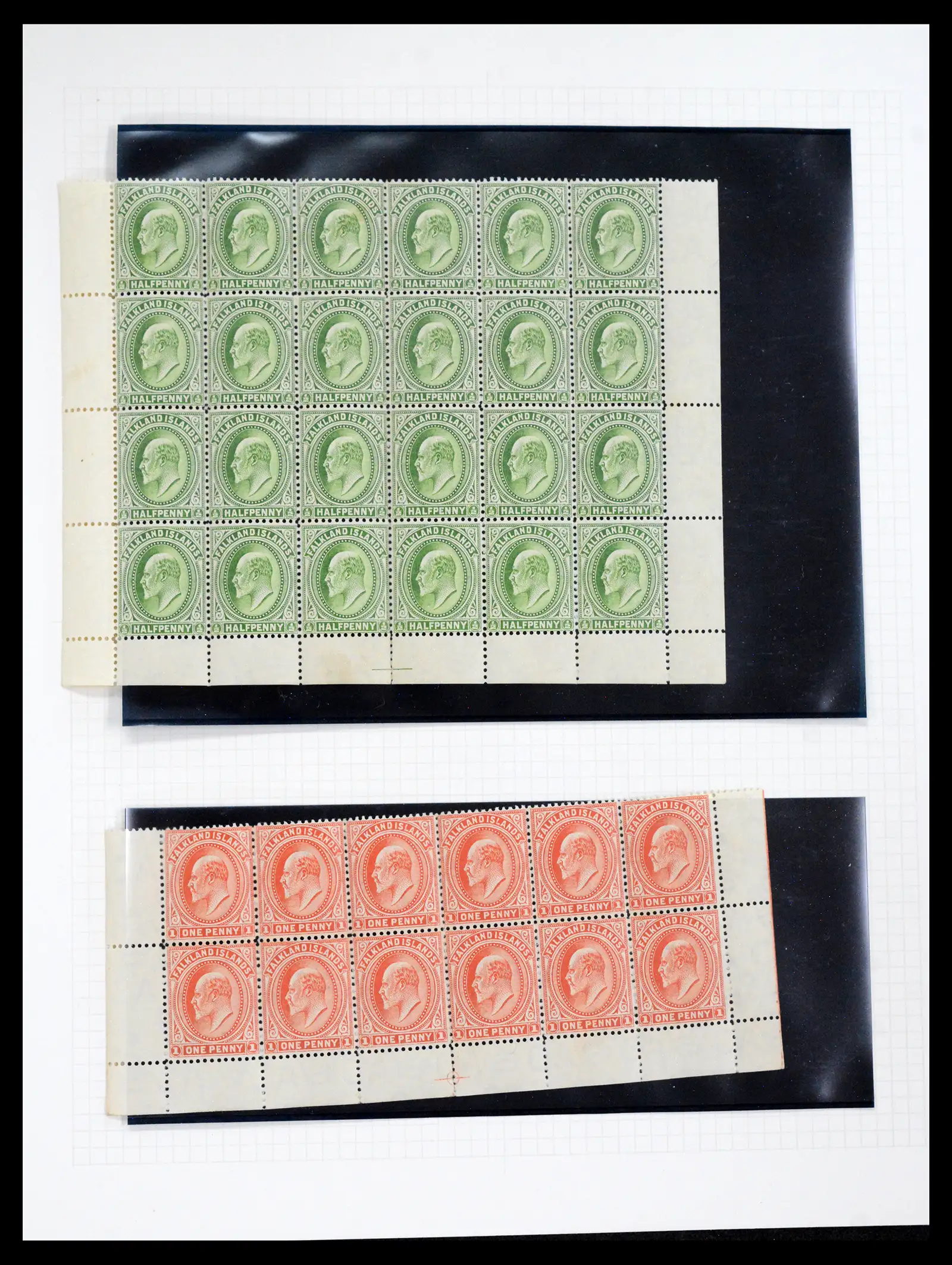40525 0008