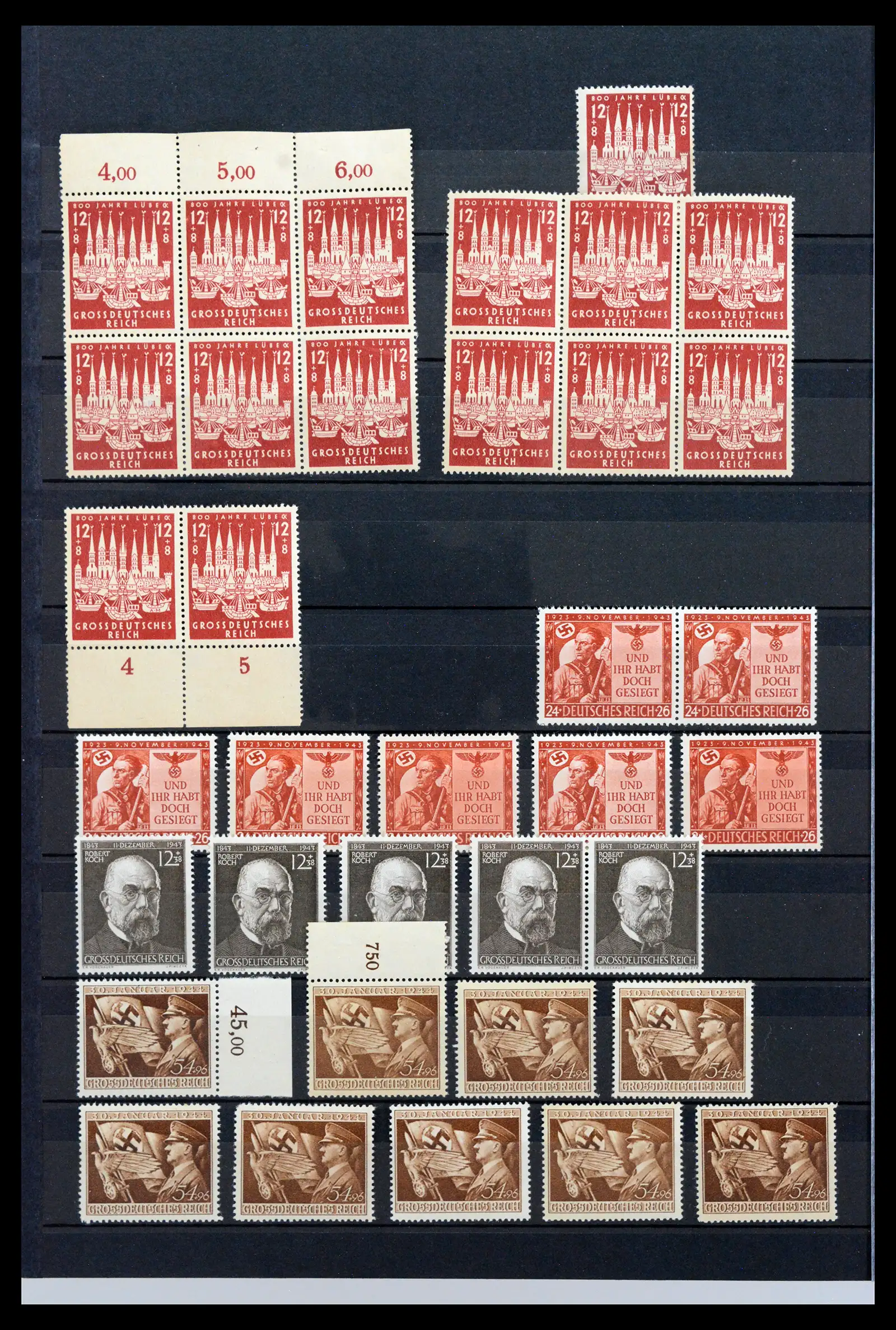 40648 0020