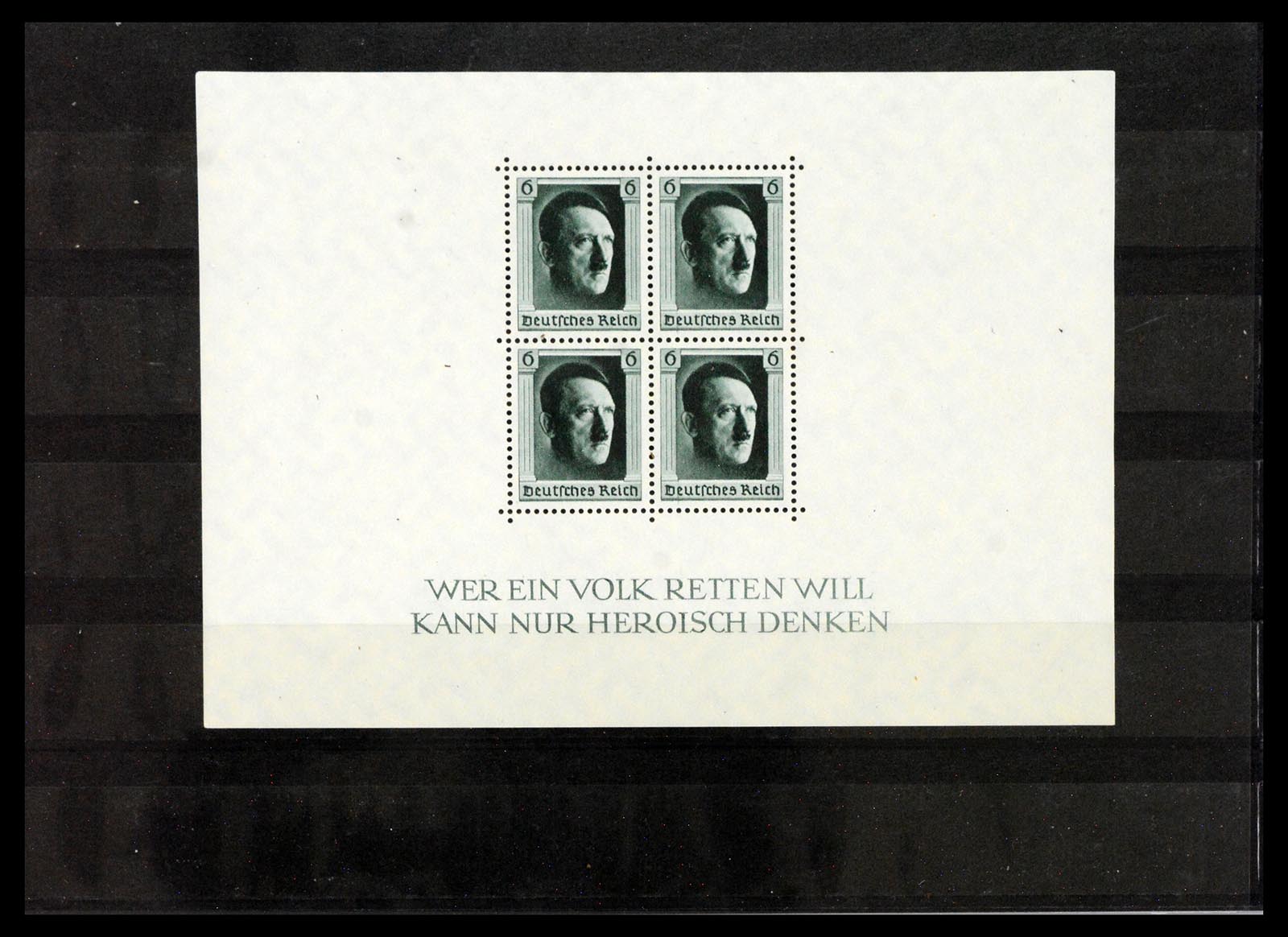 40649 0019