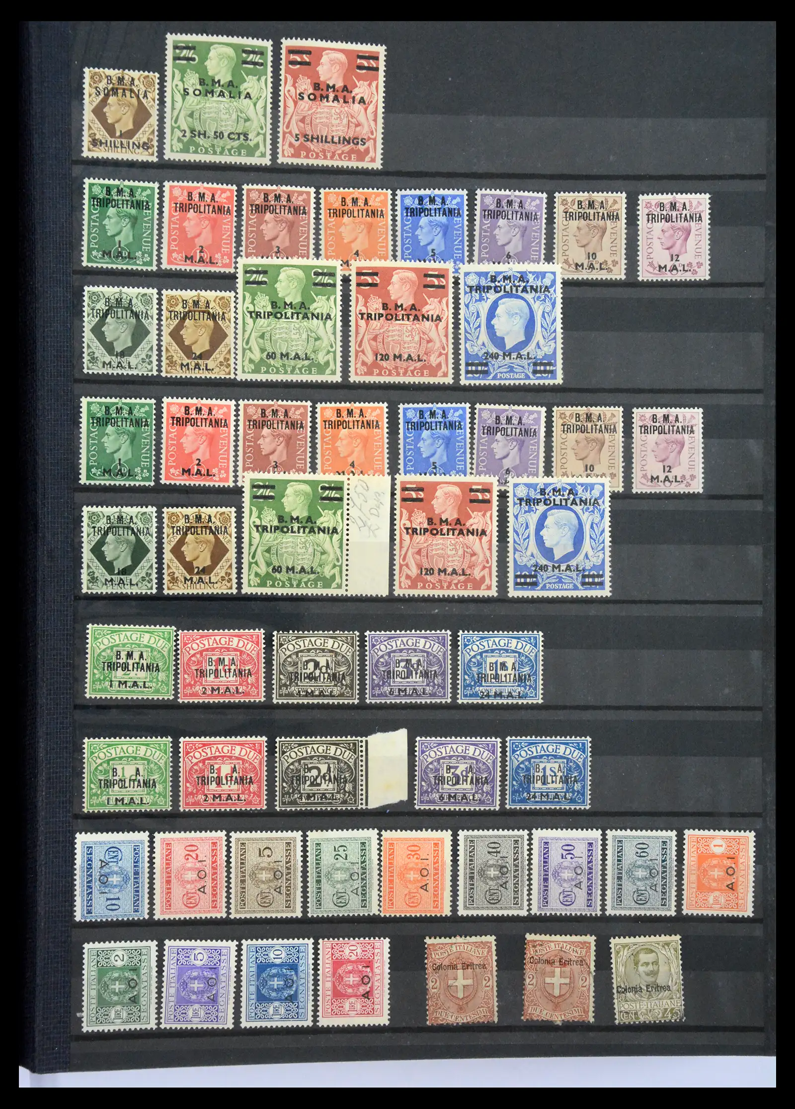 40884 0007