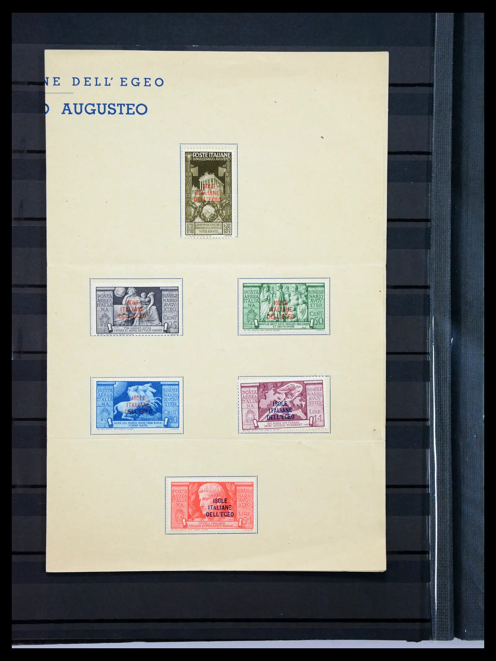 40884 0019