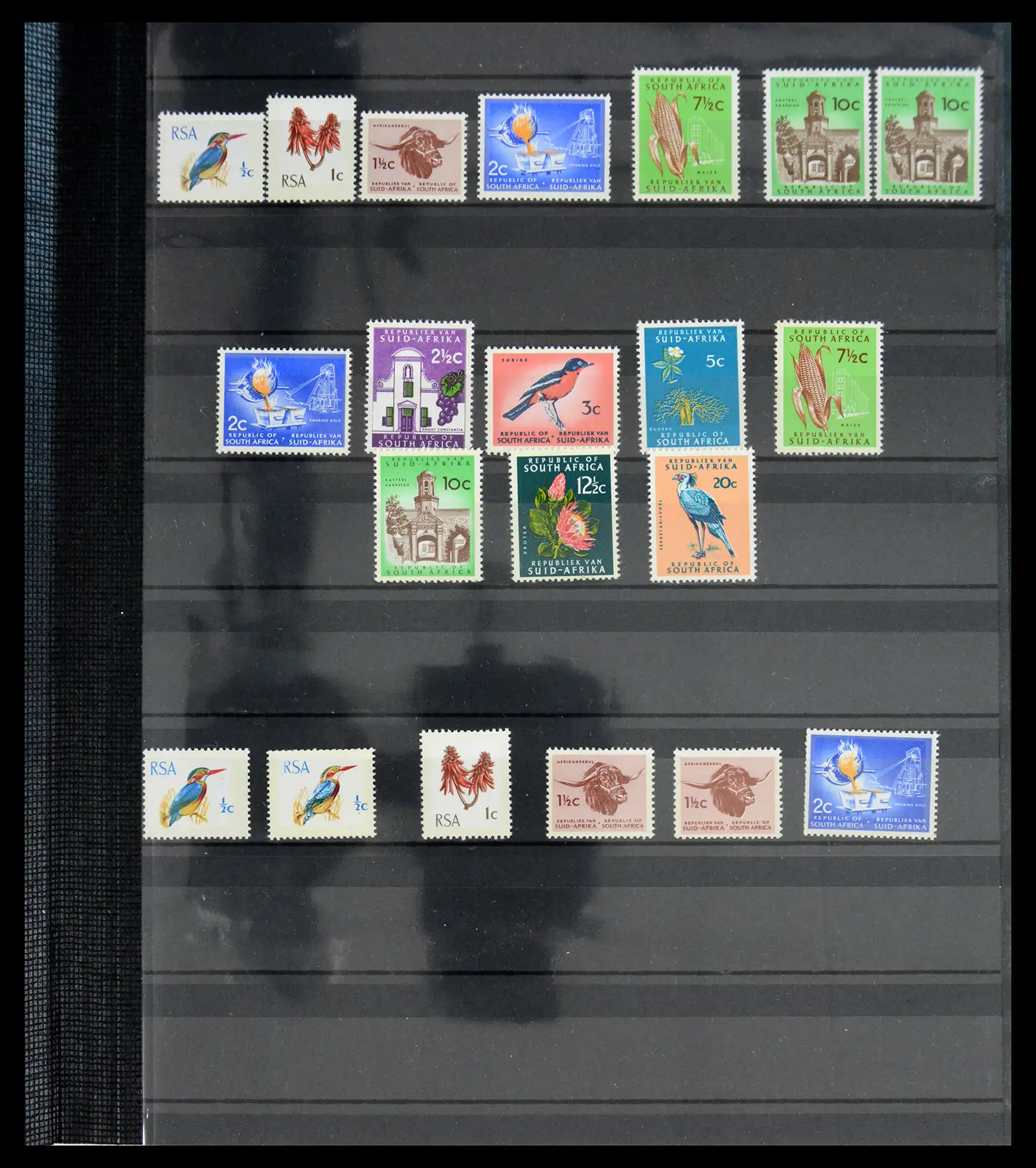 40953 0019