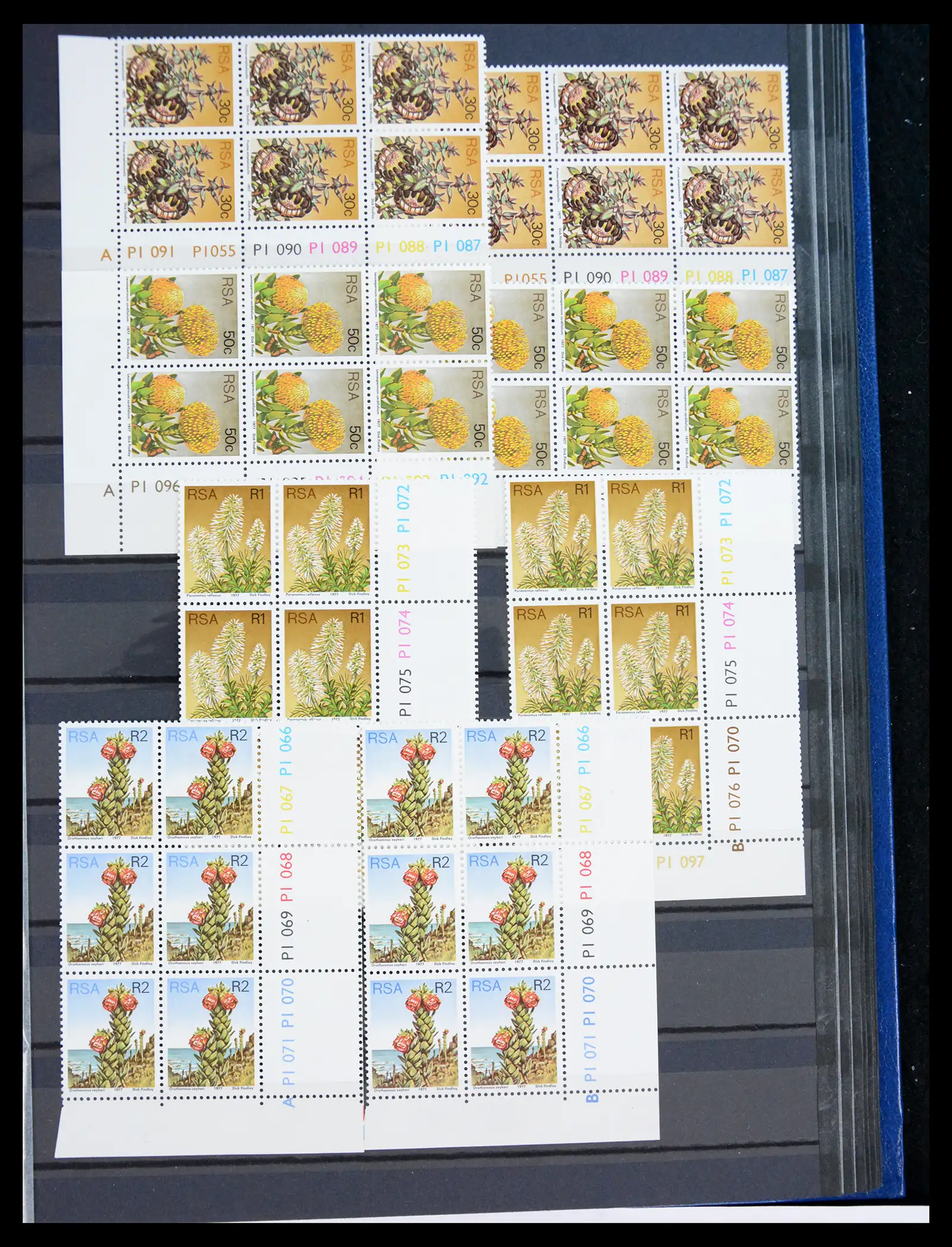 40953 0095 - Postzegelverzameling 40953 Zuid Afrika 1910-1980.