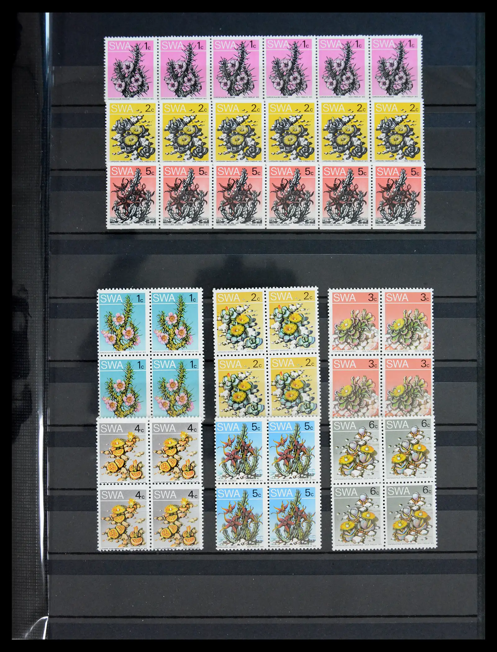 40954 0013