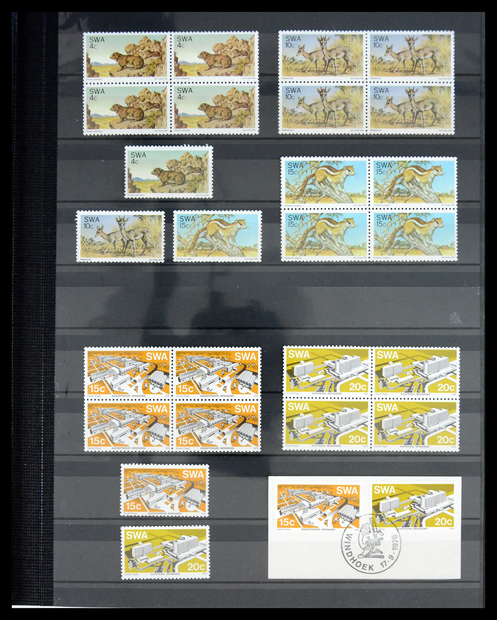 40954 0019