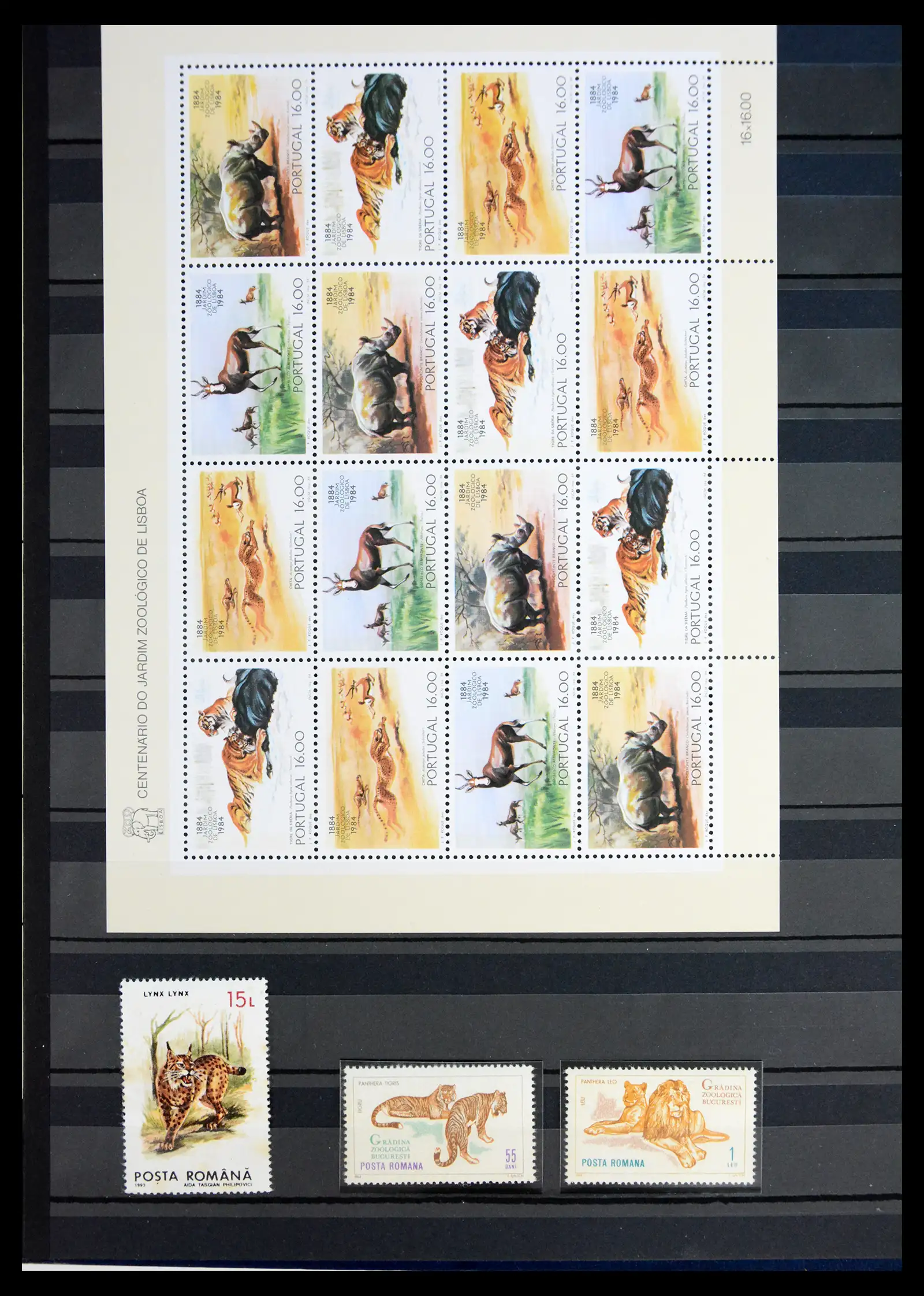 40971 0005