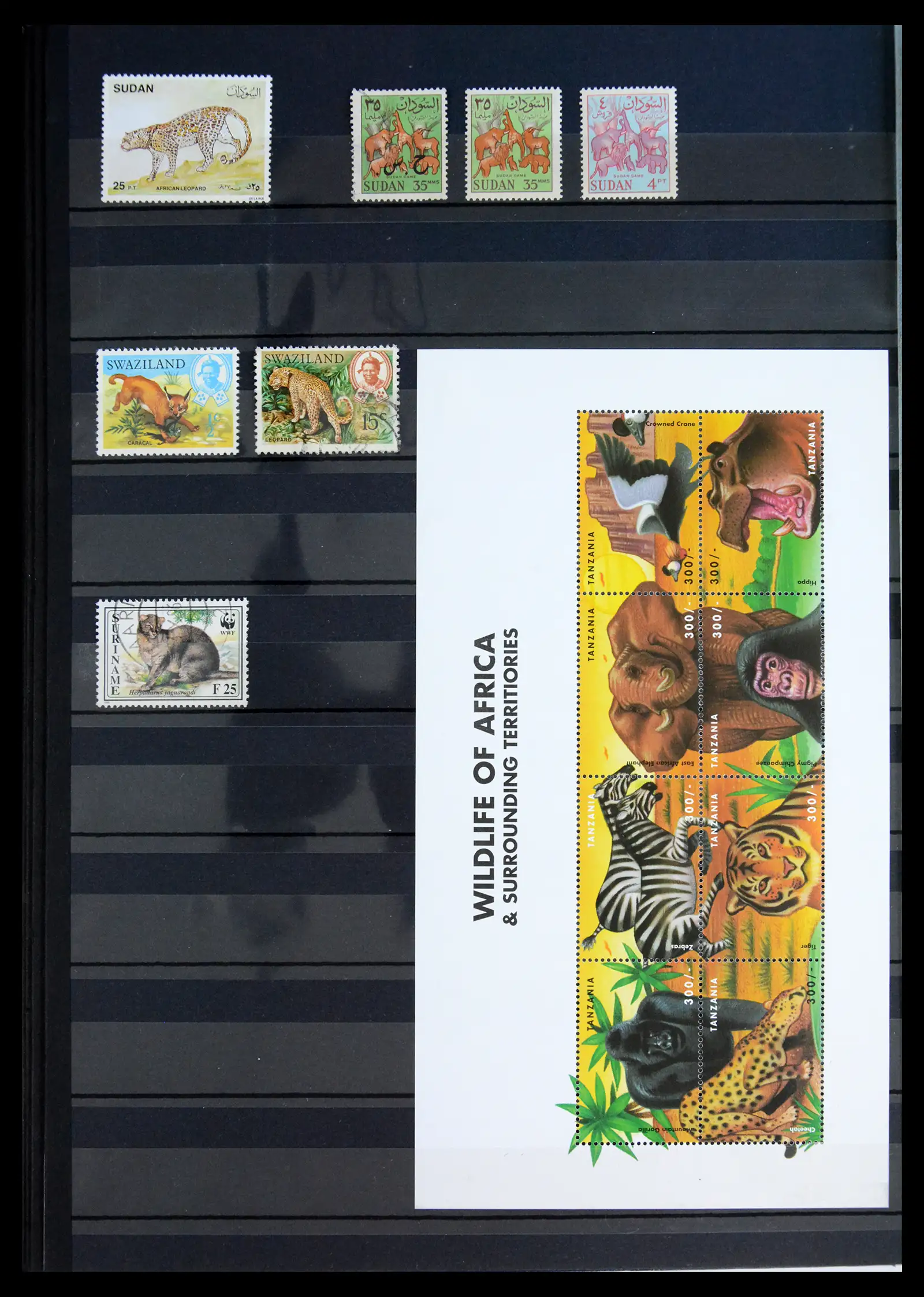 40971 0015