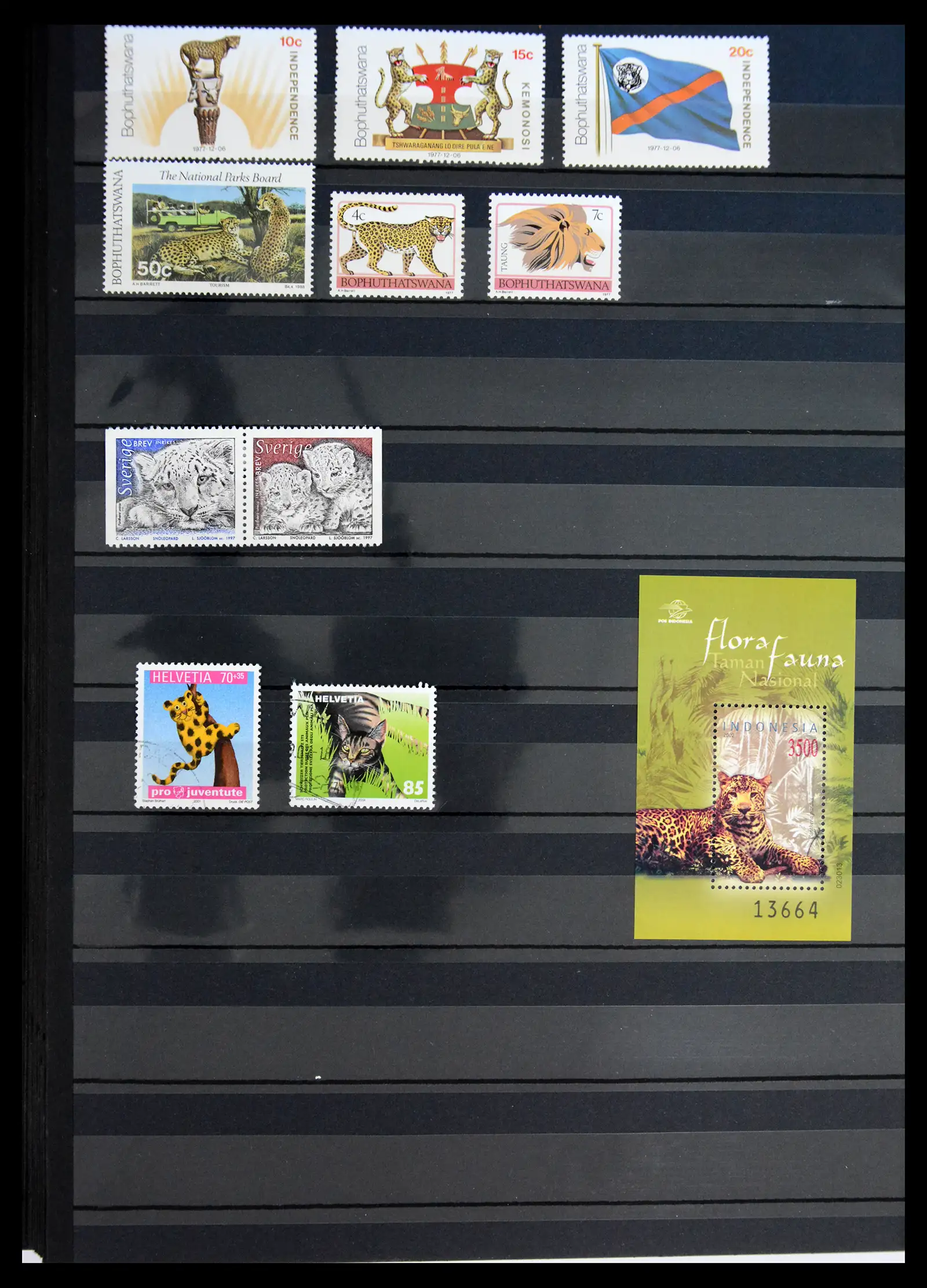 40971 0031 - Stamp collection 40971 Thematics lions/tigers 1870-2010.
