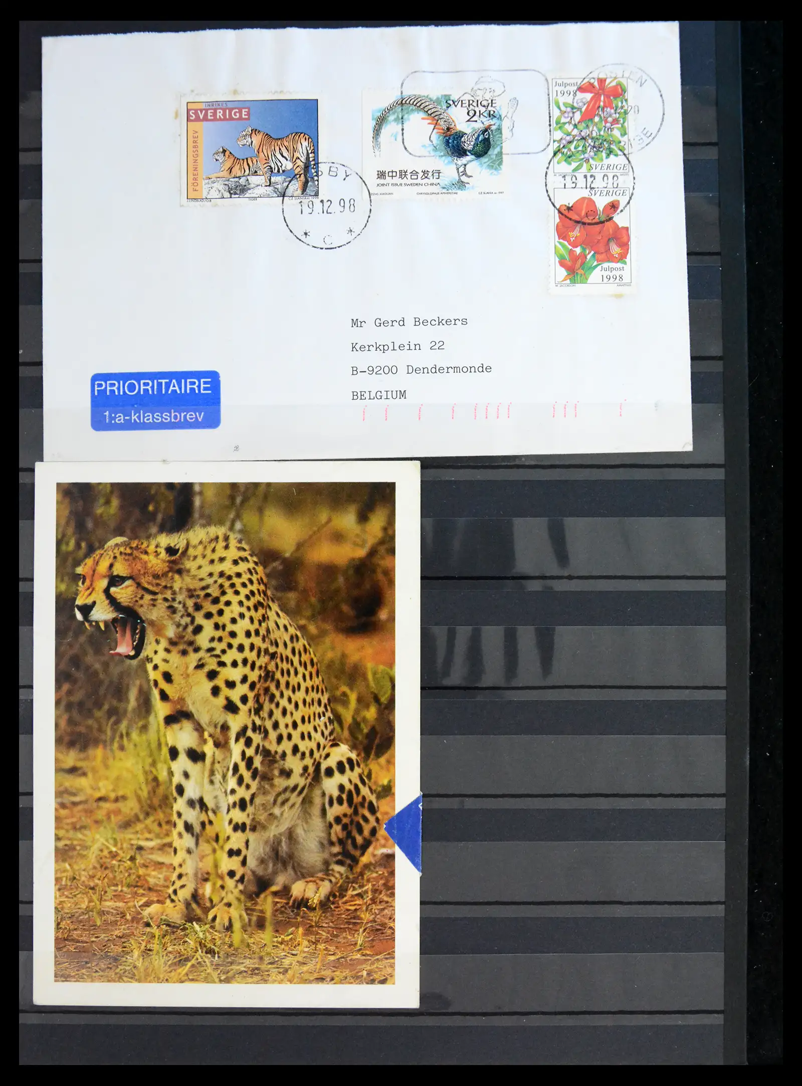 40971 0032 - Stamp collection 40971 Thematics lions/tigers 1870-2010.