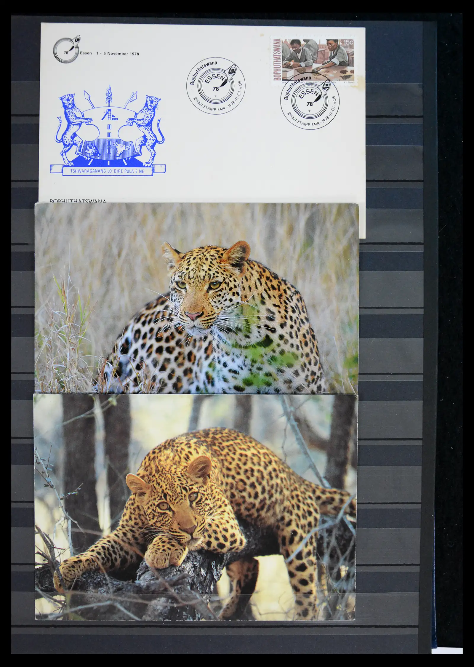 40971 0034 - Stamp collection 40971 Thematics lions/tigers 1870-2010.
